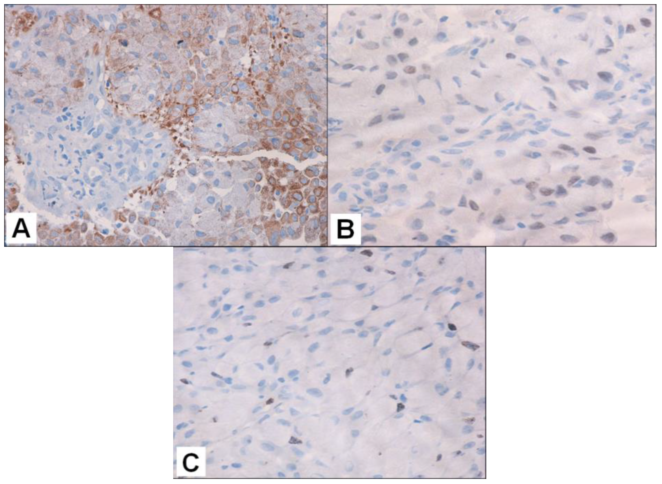 Curroncol 32 00037 g004