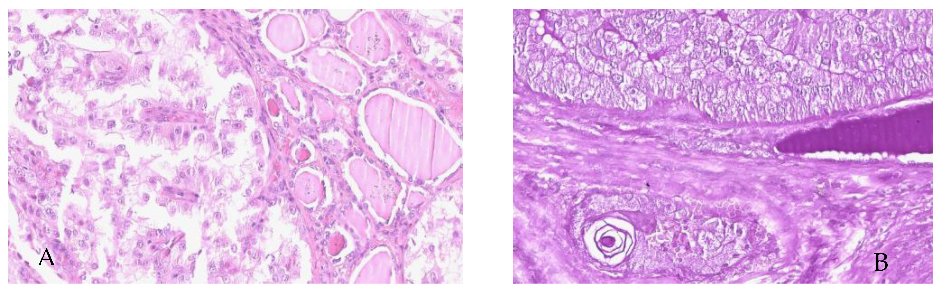 Curroncol 32 00037 g005