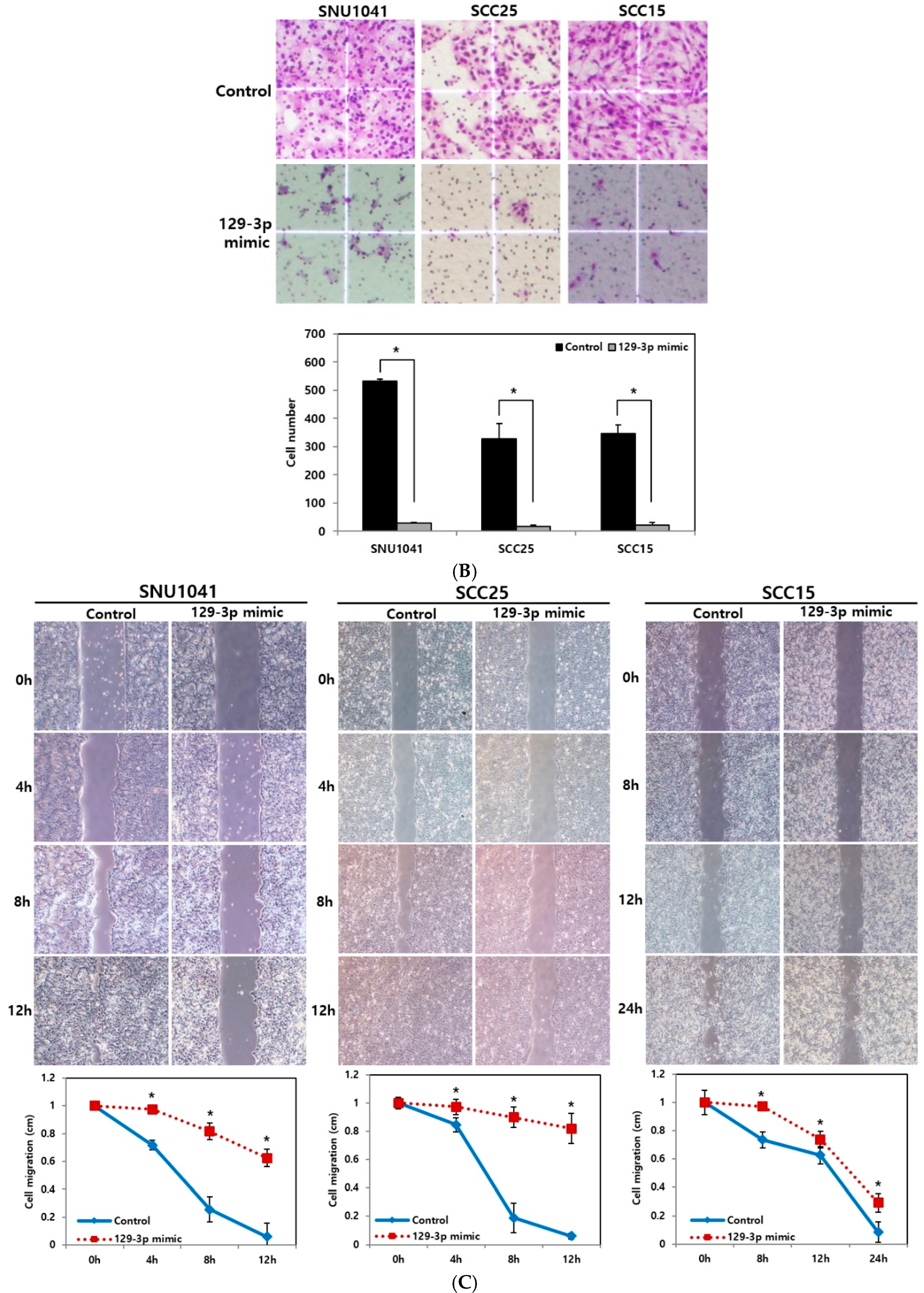 Curroncol 32 00054 g001b