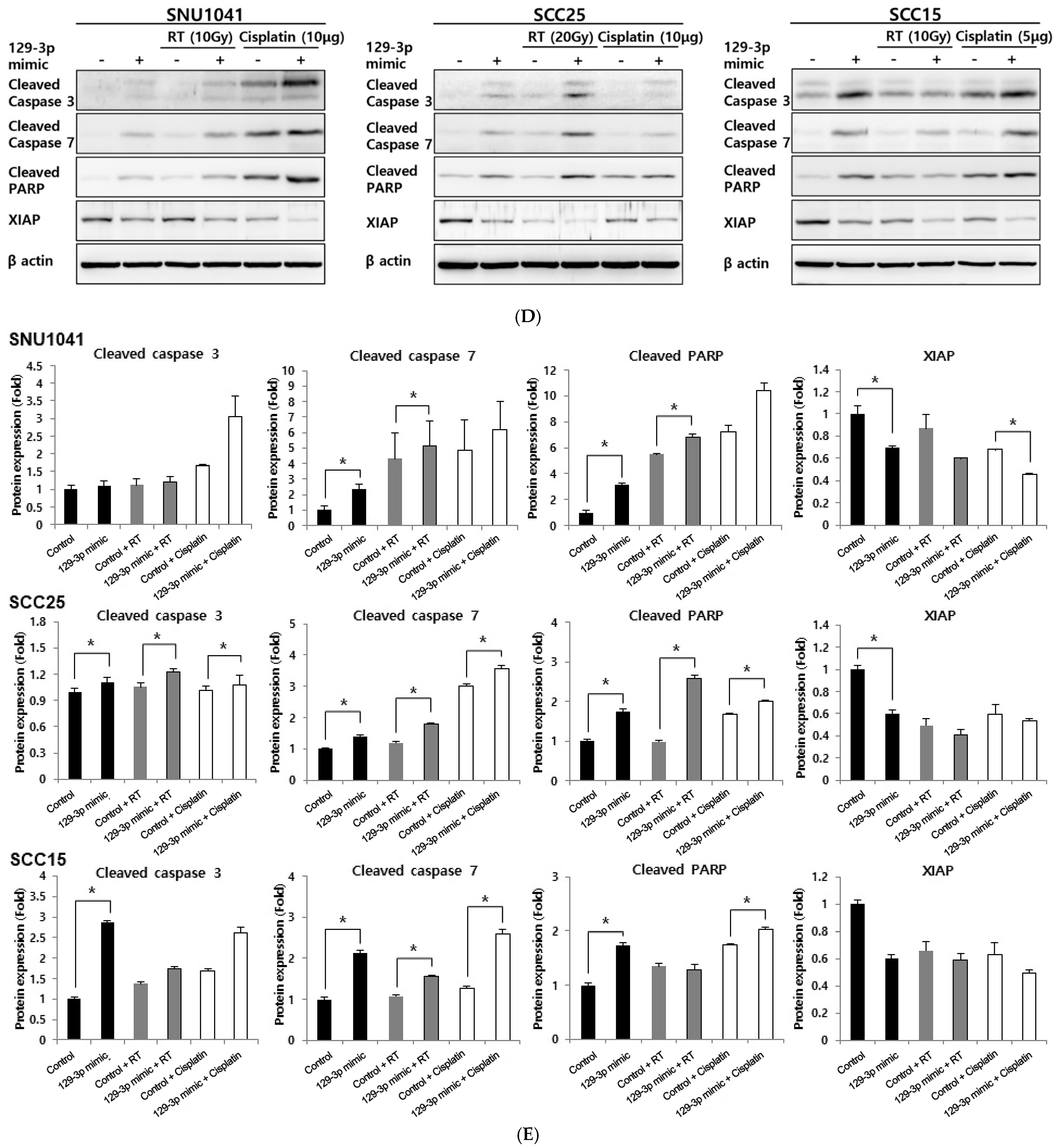 Curroncol 32 00054 g002c