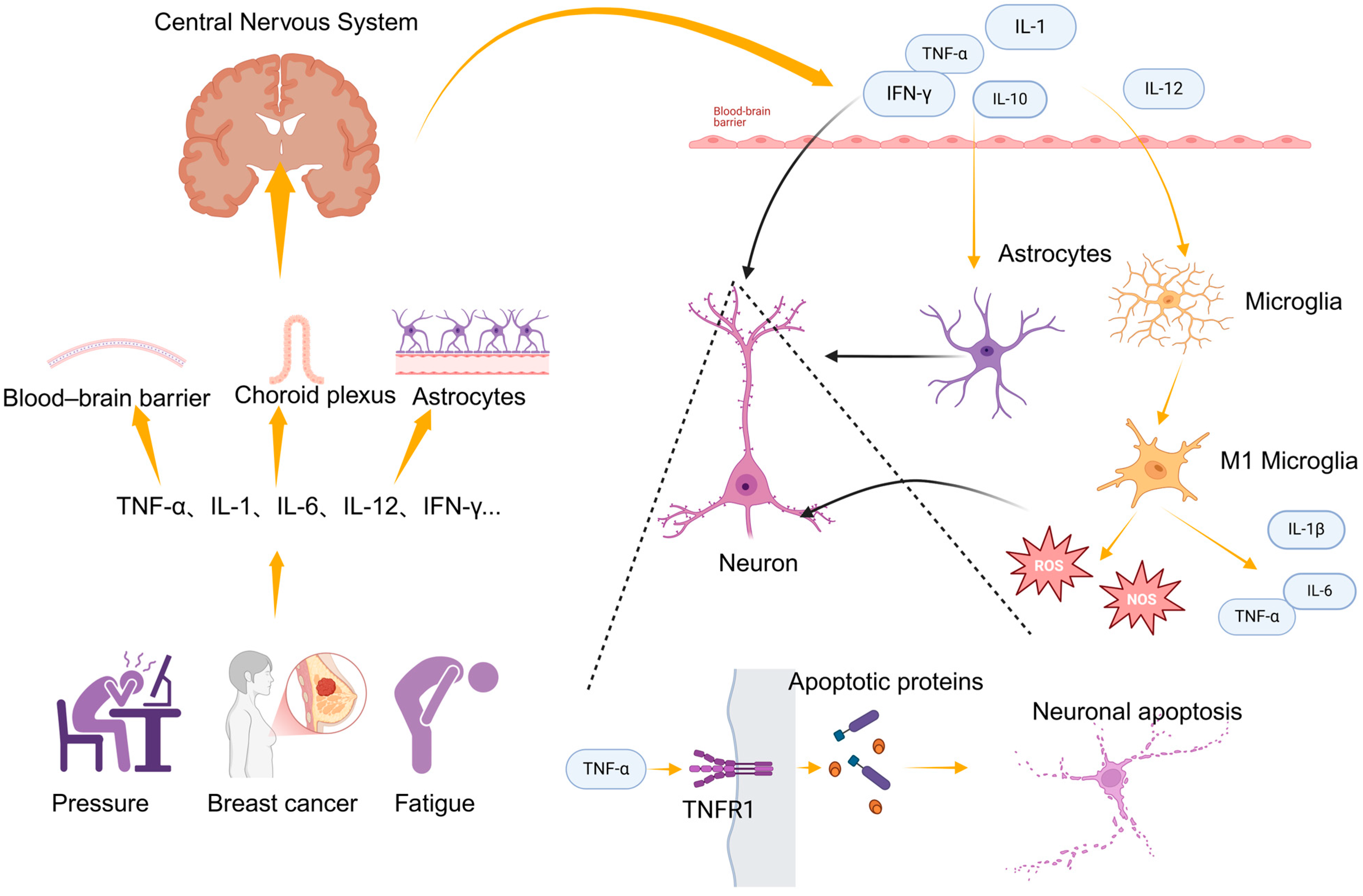 Curroncol 32 00077 g001