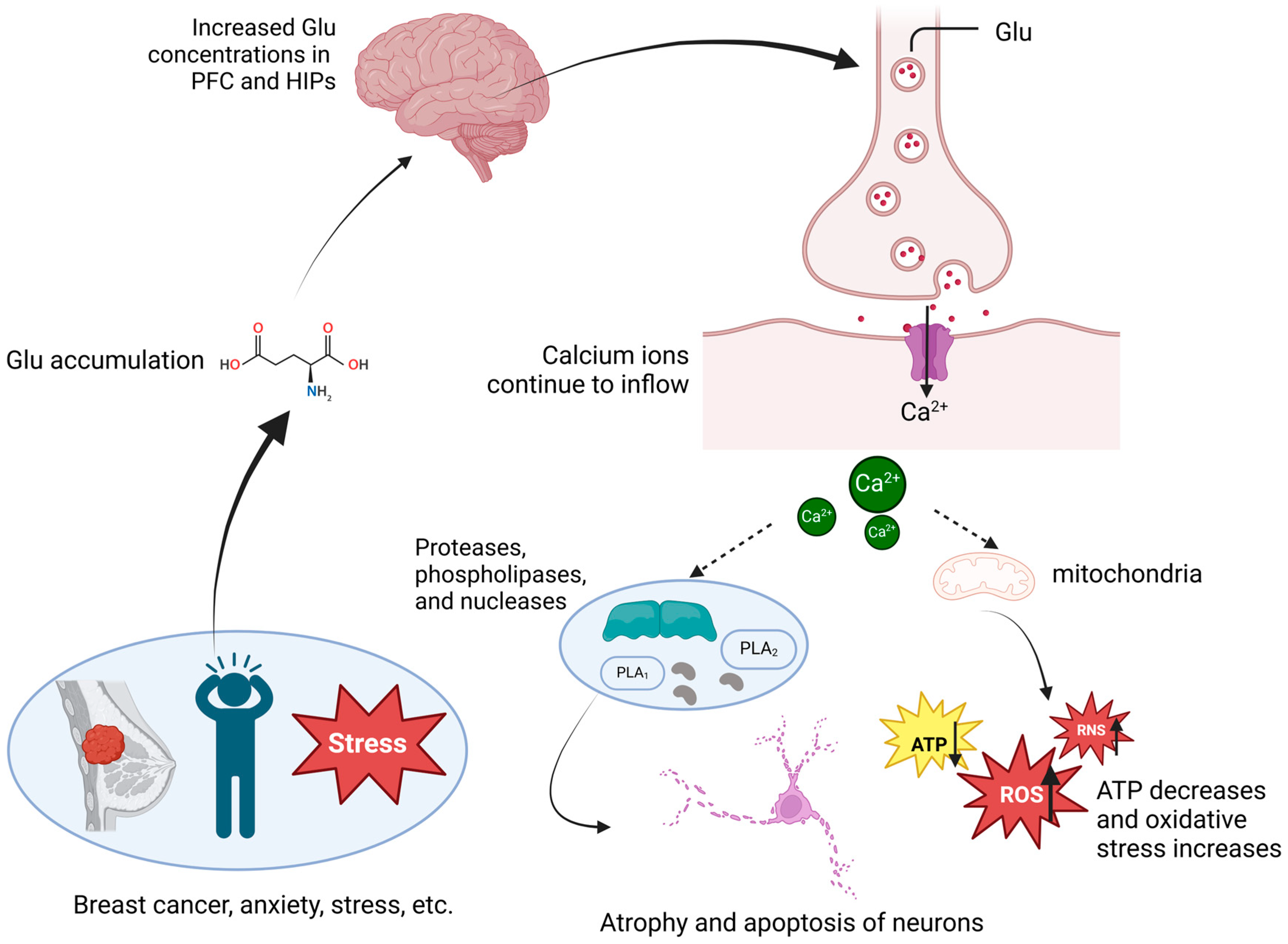 Curroncol 32 00077 g002