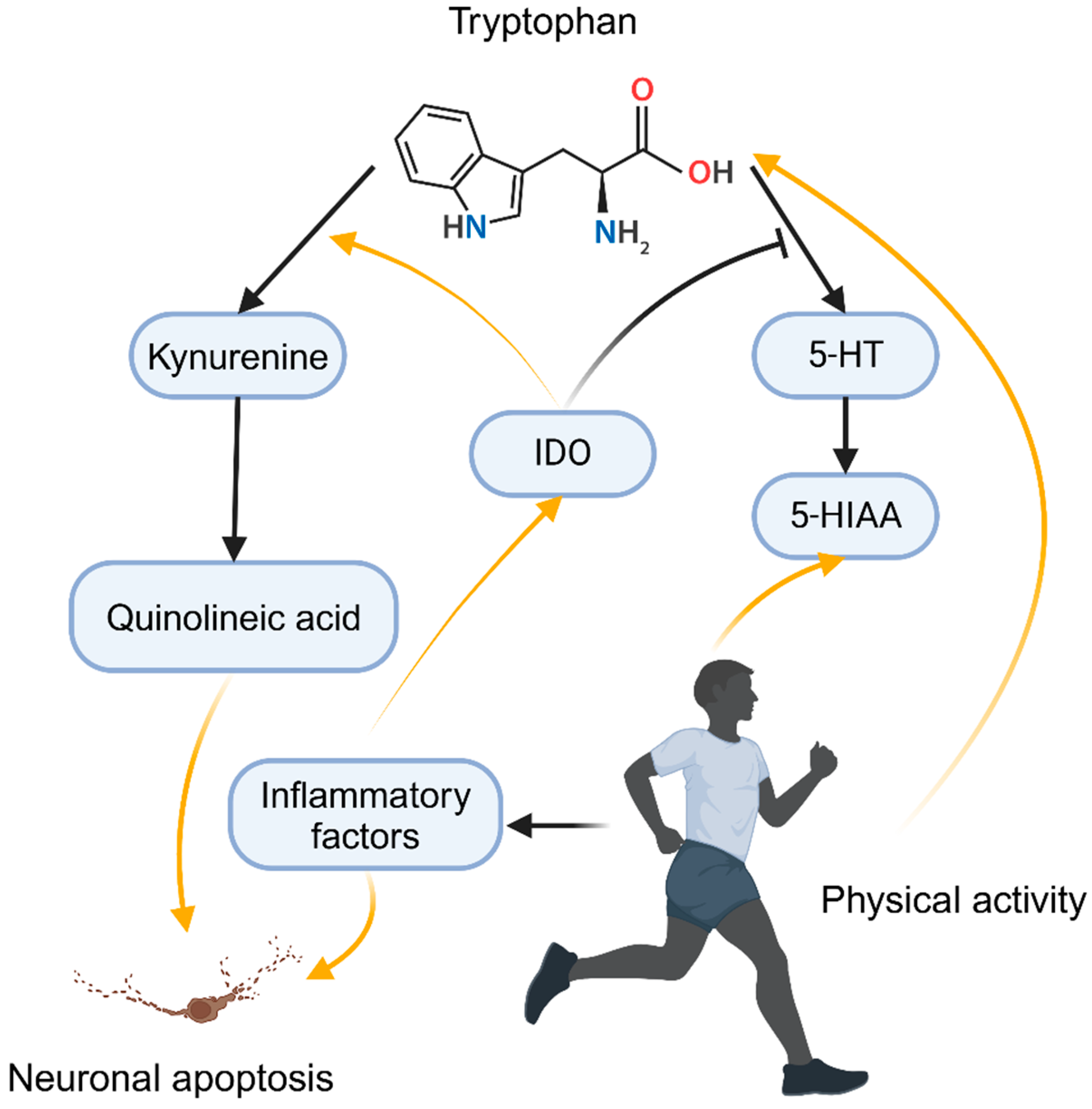 Curroncol 32 00077 g003