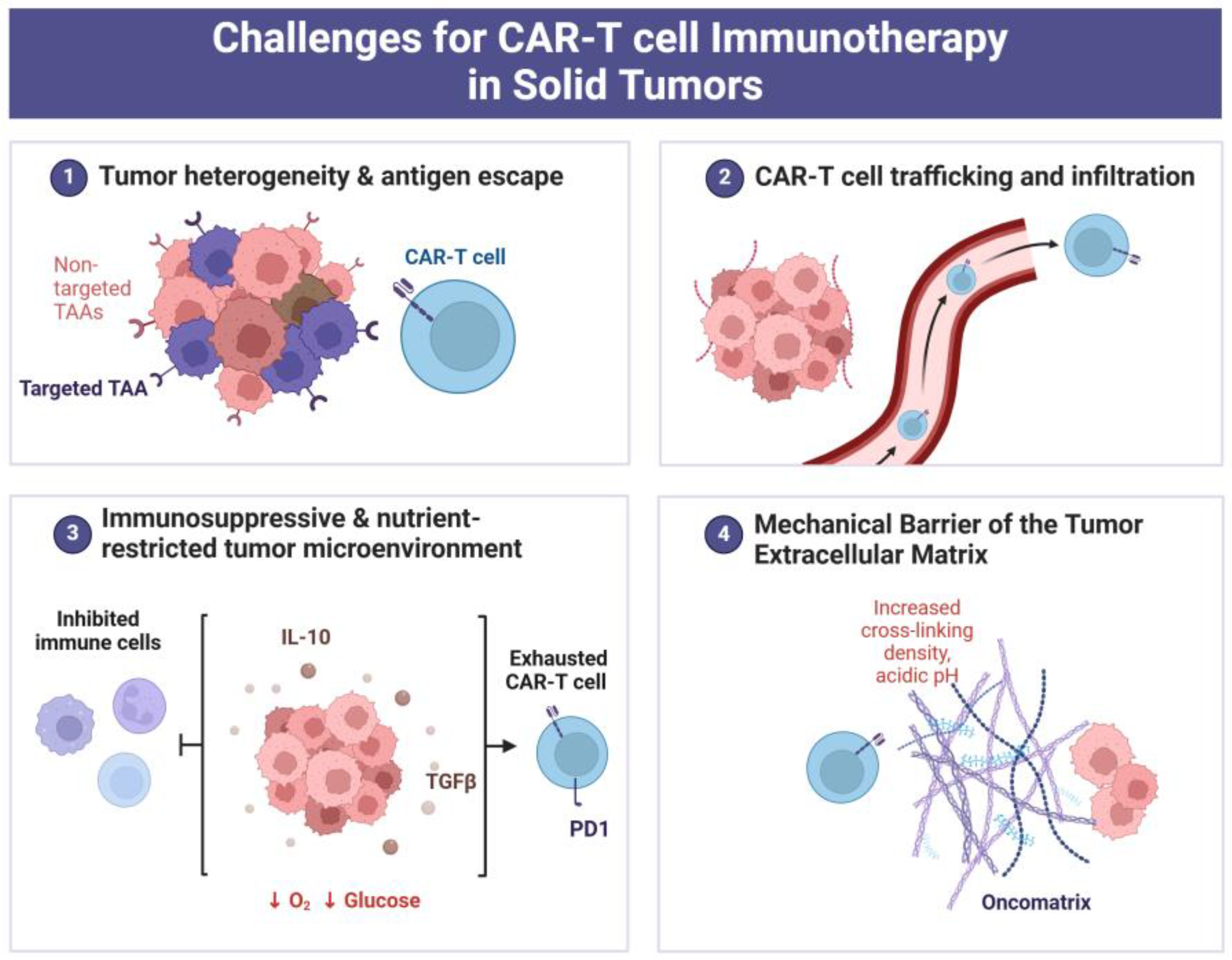 Curroncol 32 00079 g004