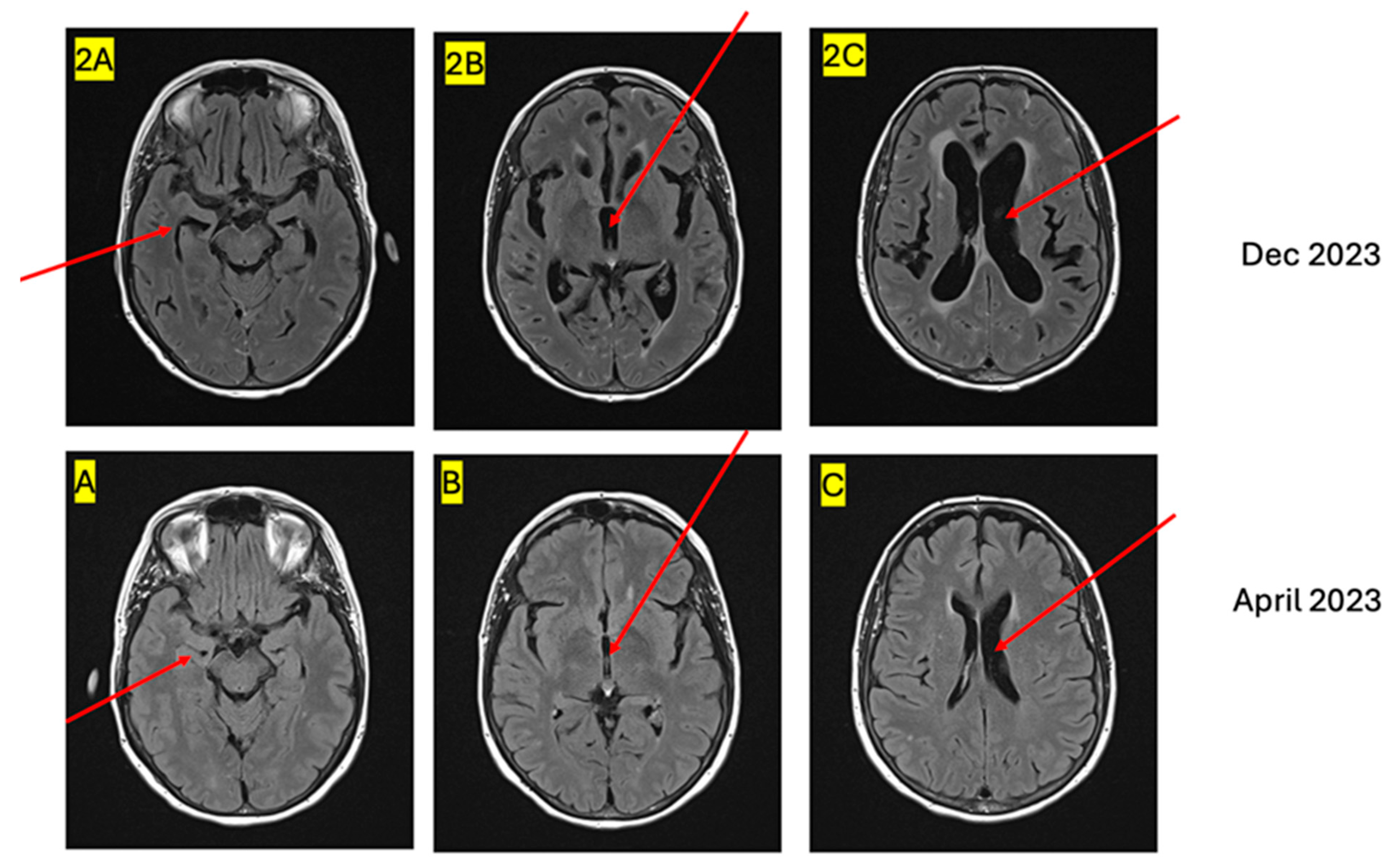 Curroncol 32 00081 g002