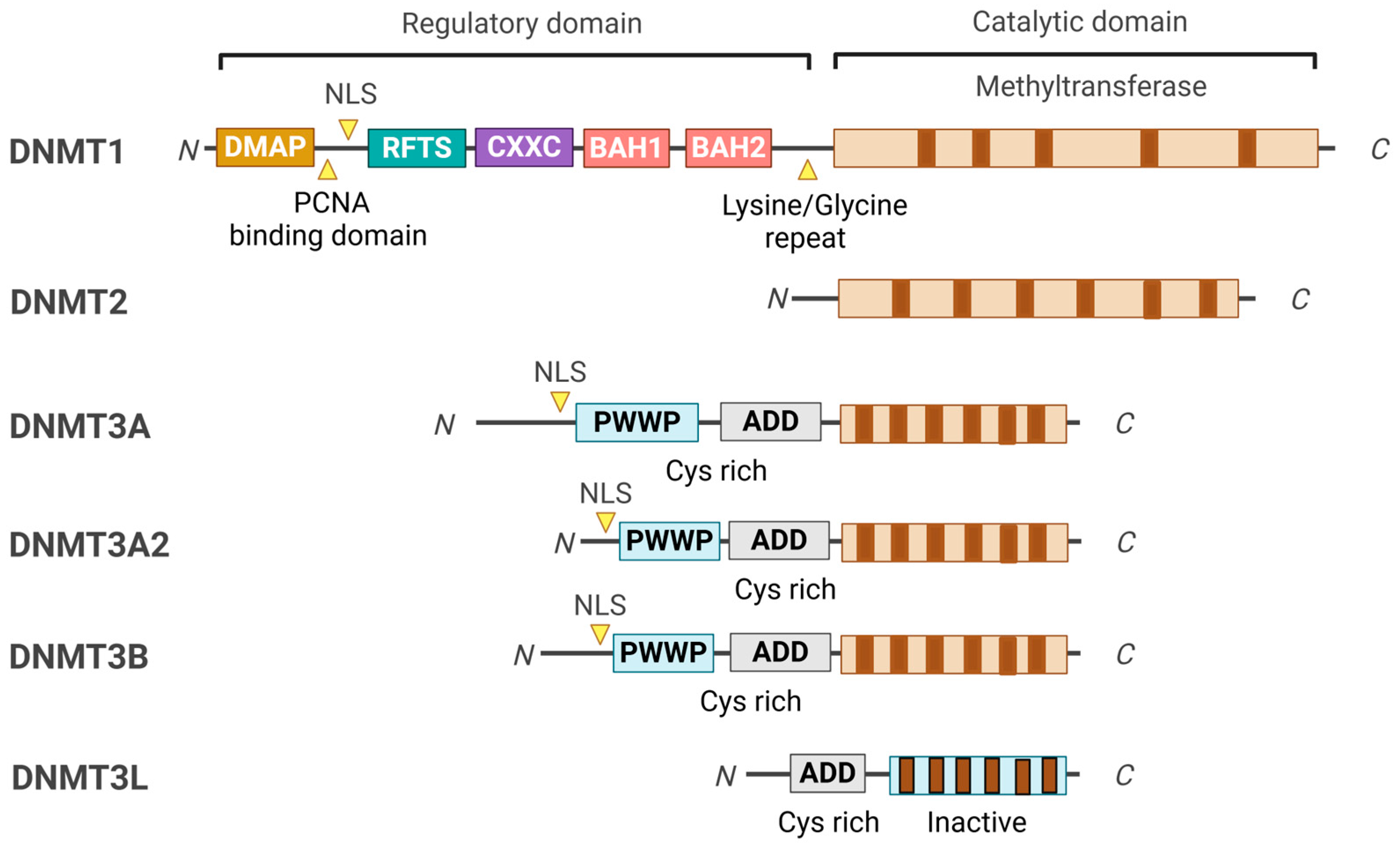 Curroncol 32 00088 g001 Curroncol 32 00088 g001