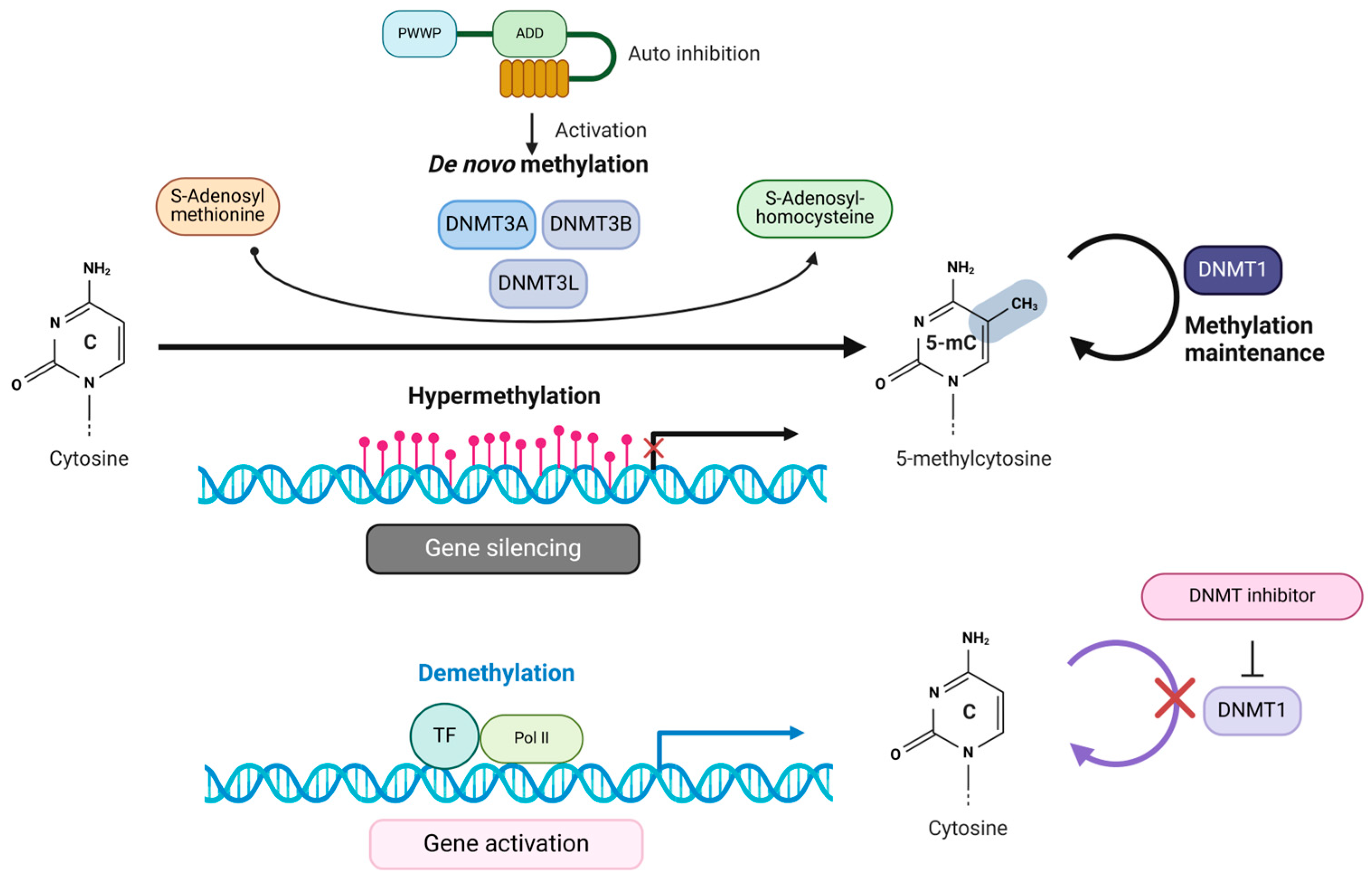 Curroncol 32 00088 g002 Curroncol 32 00088 g002