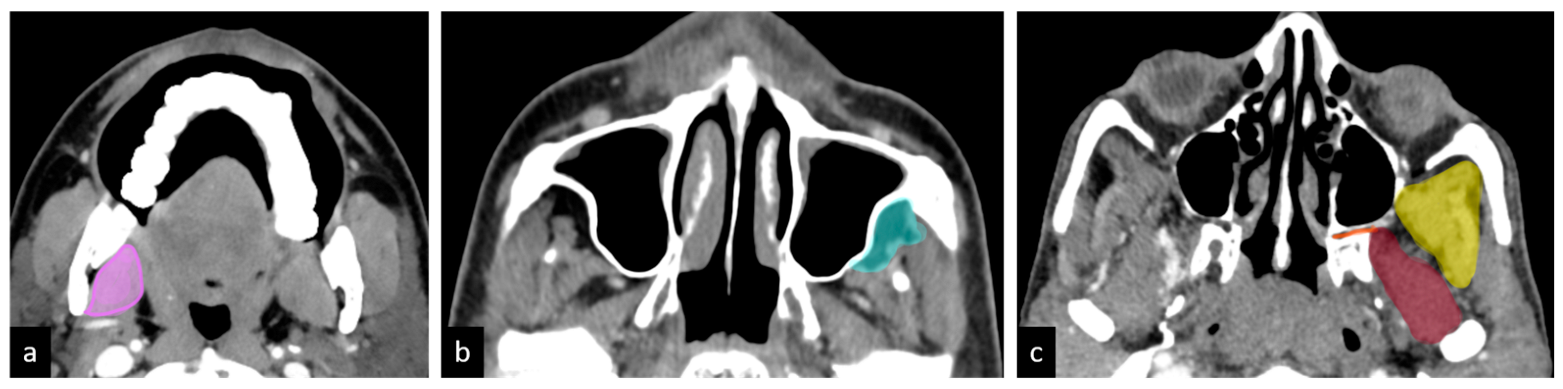 Curroncol 32 00099 g002
