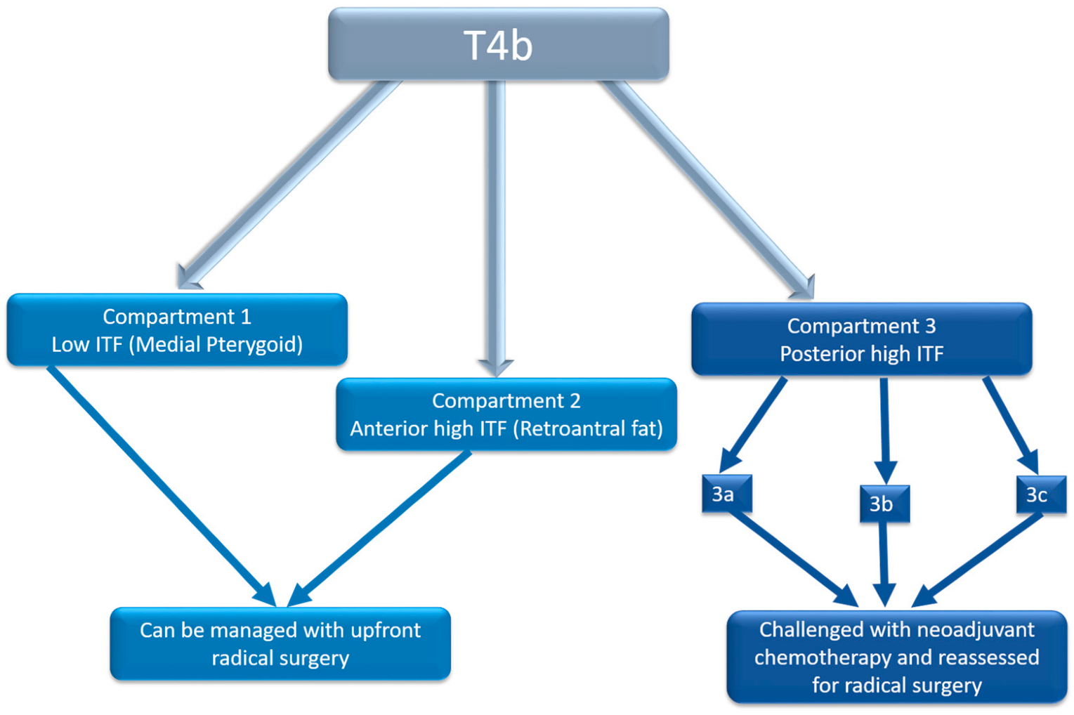 Curroncol 32 00099 g005