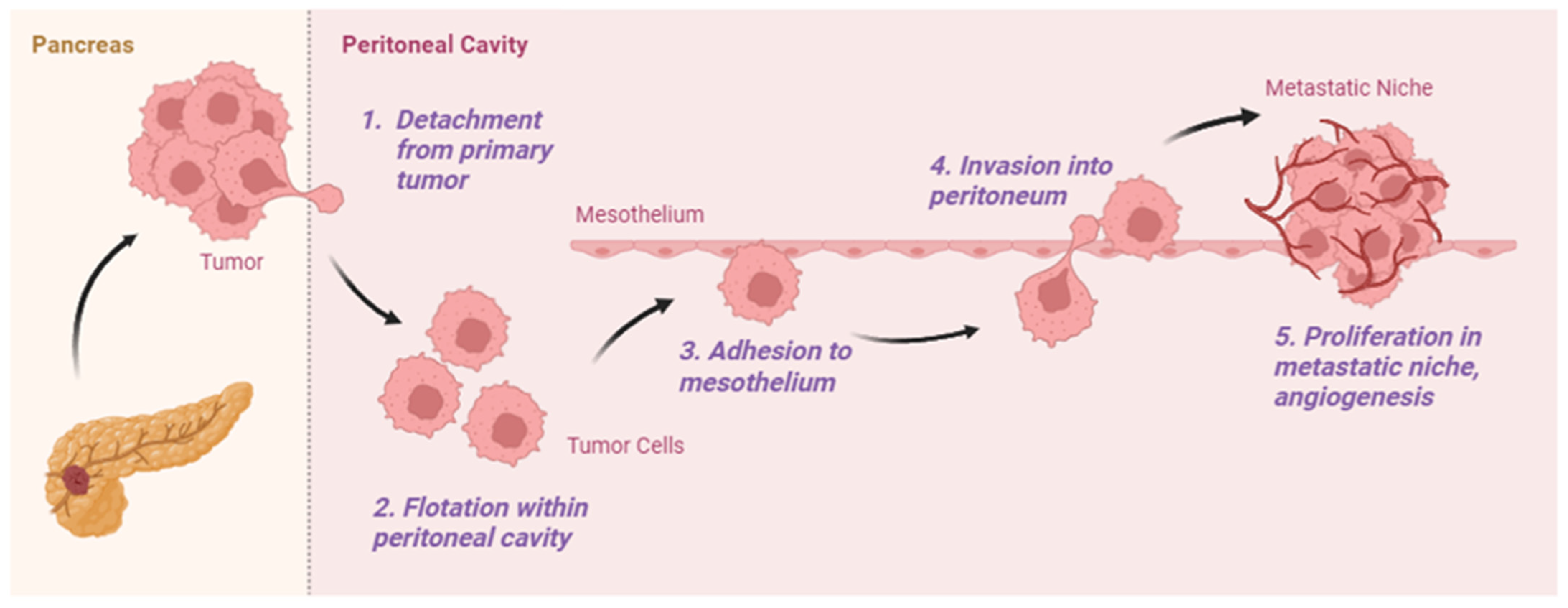 Curroncol 32 00103 g001