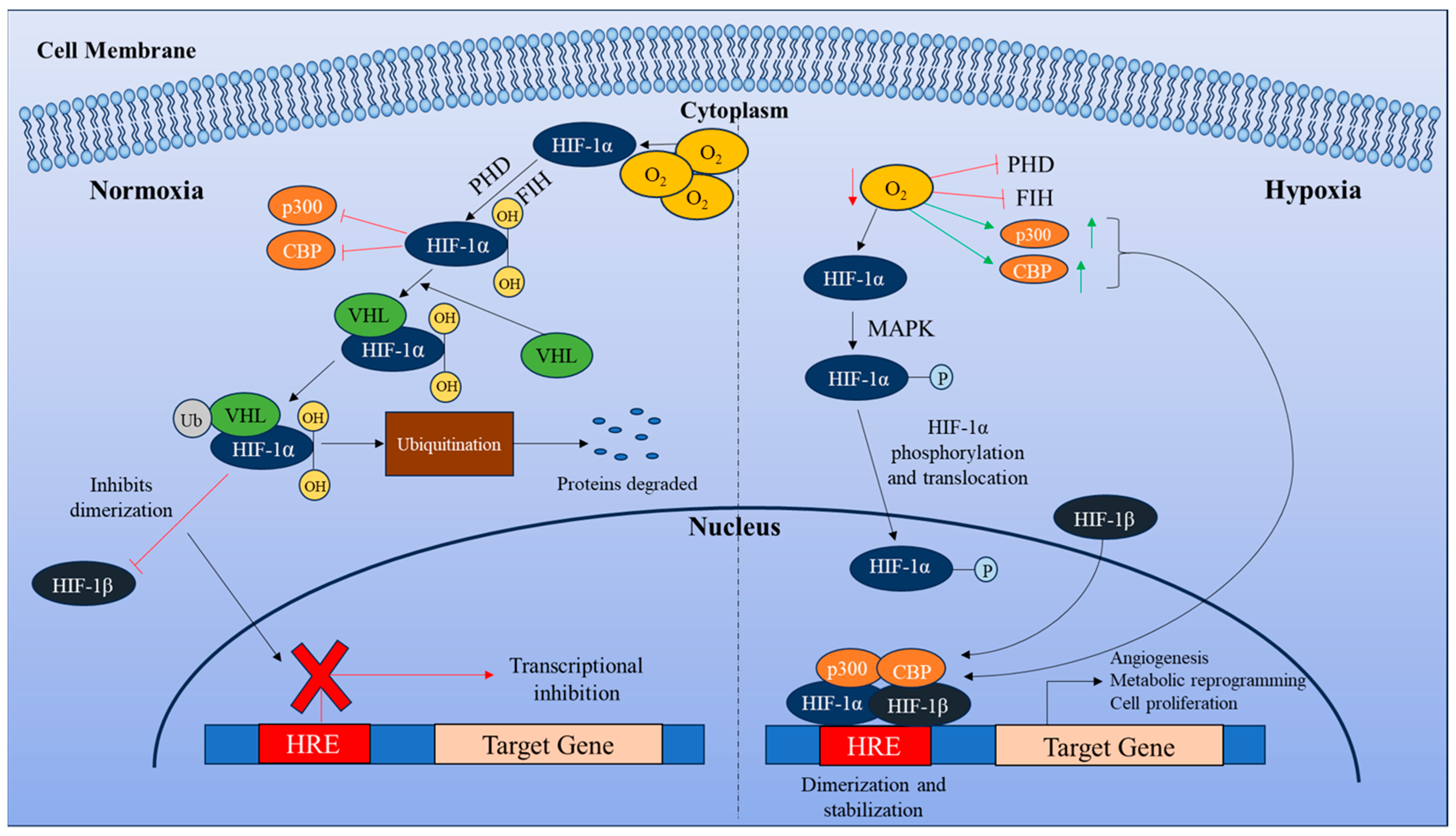 Curroncol 32 00106 g001