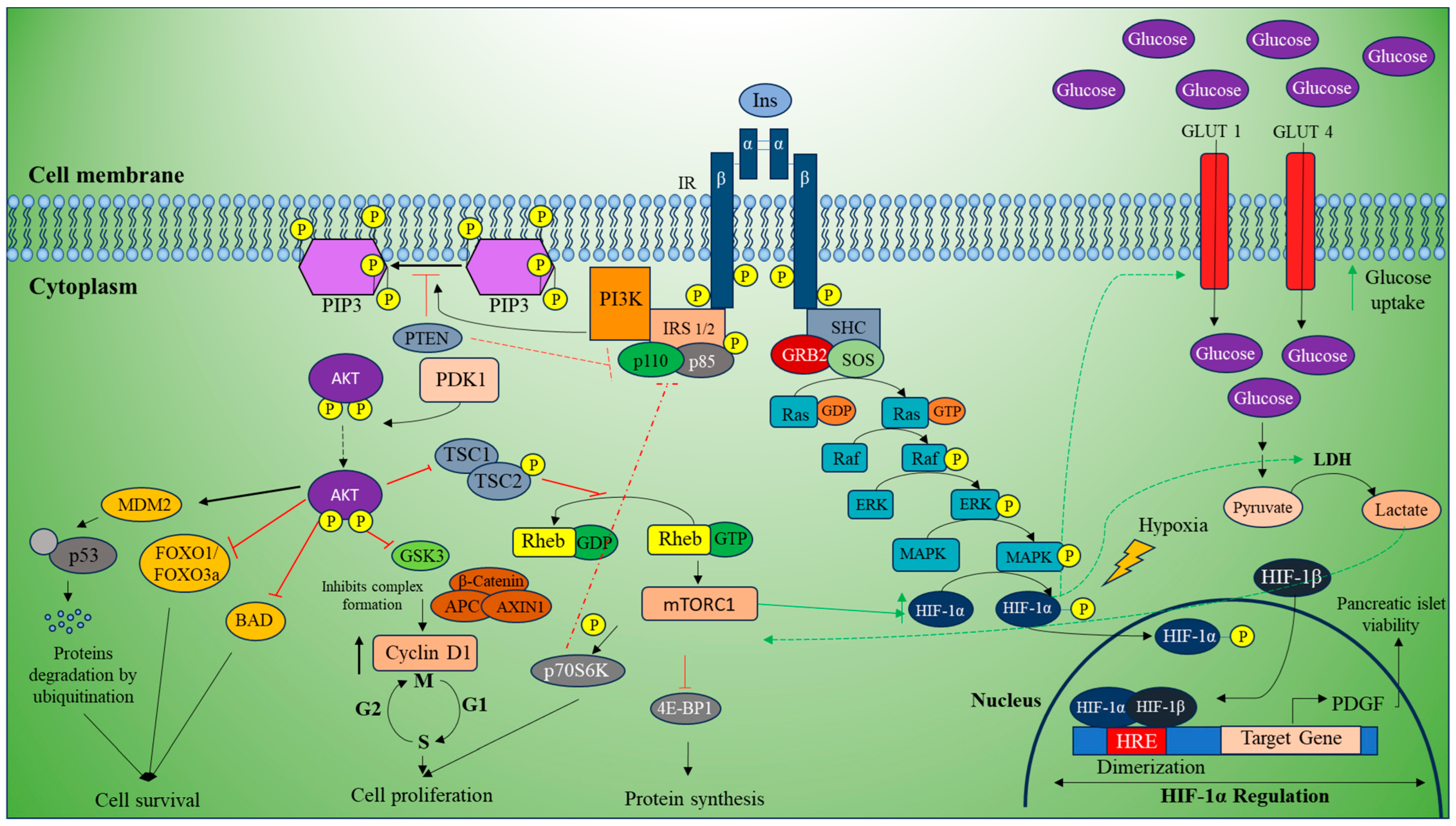 Curroncol 32 00106 g002