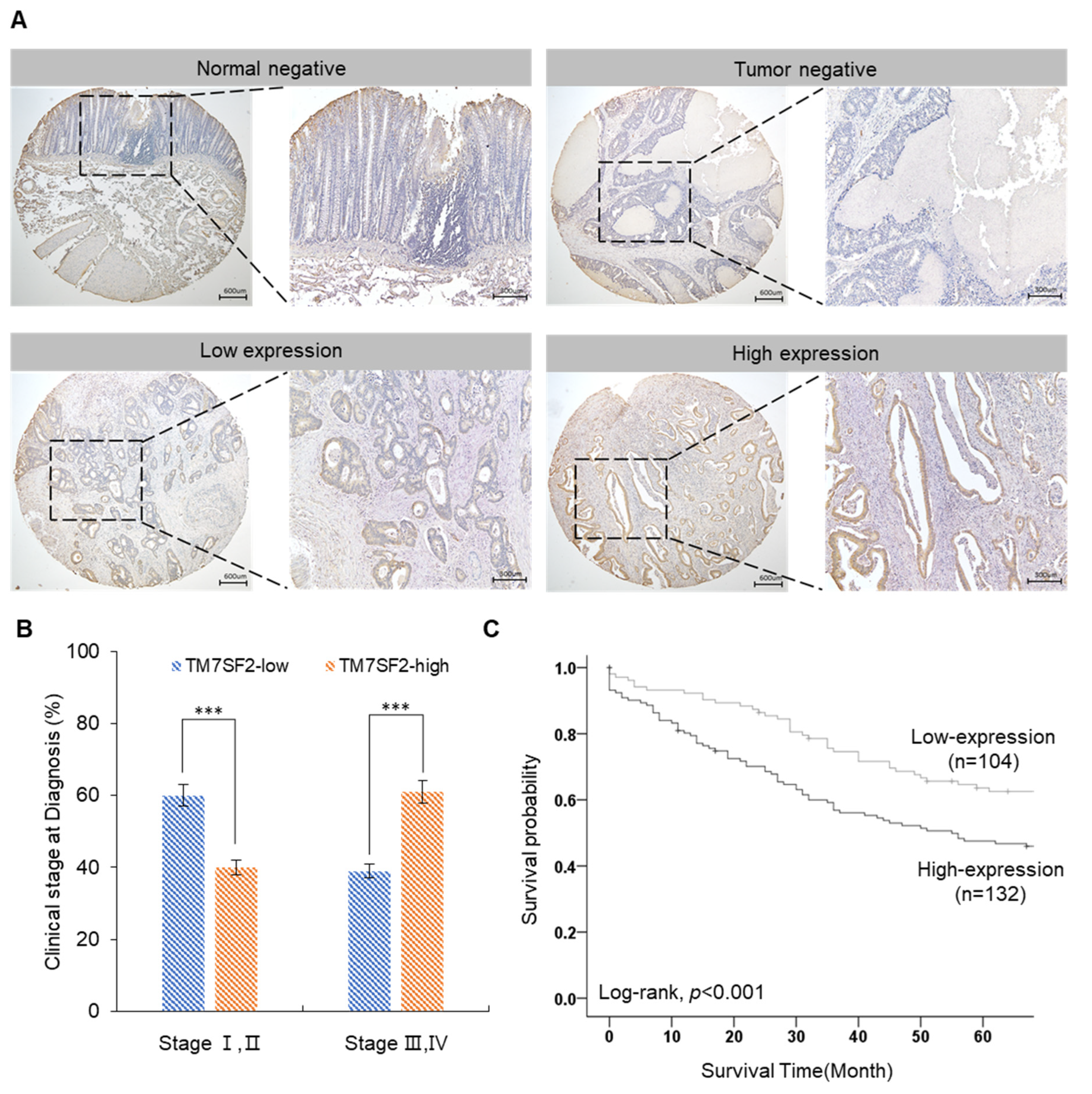Curroncol 32 00114 g001