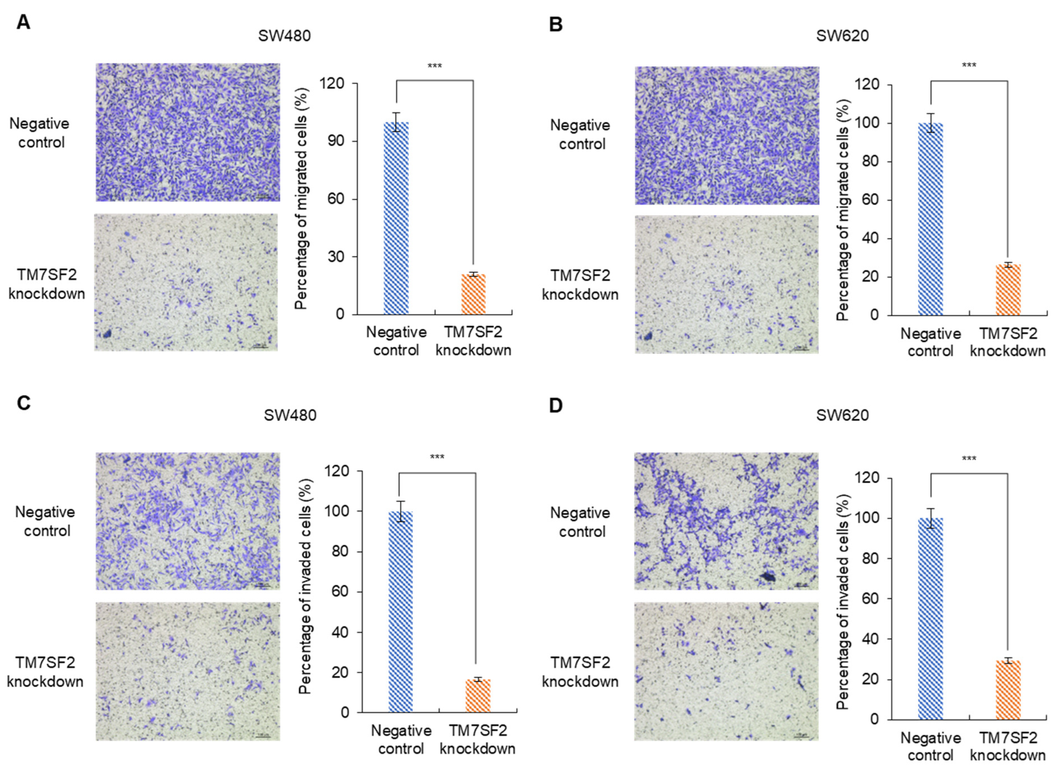 Curroncol 32 00114 g004