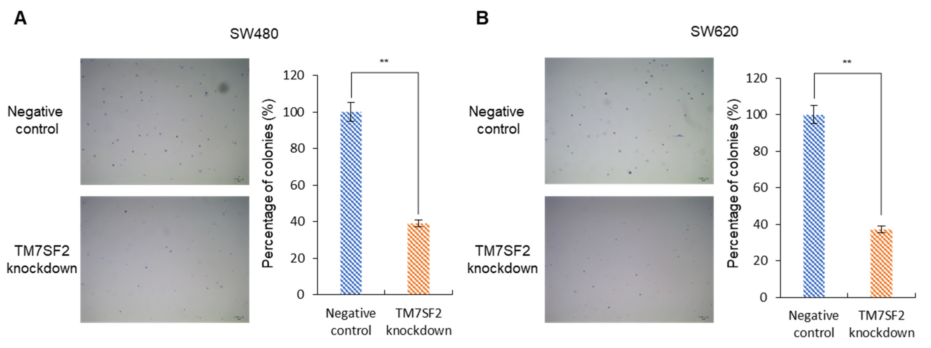Curroncol 32 00114 g005