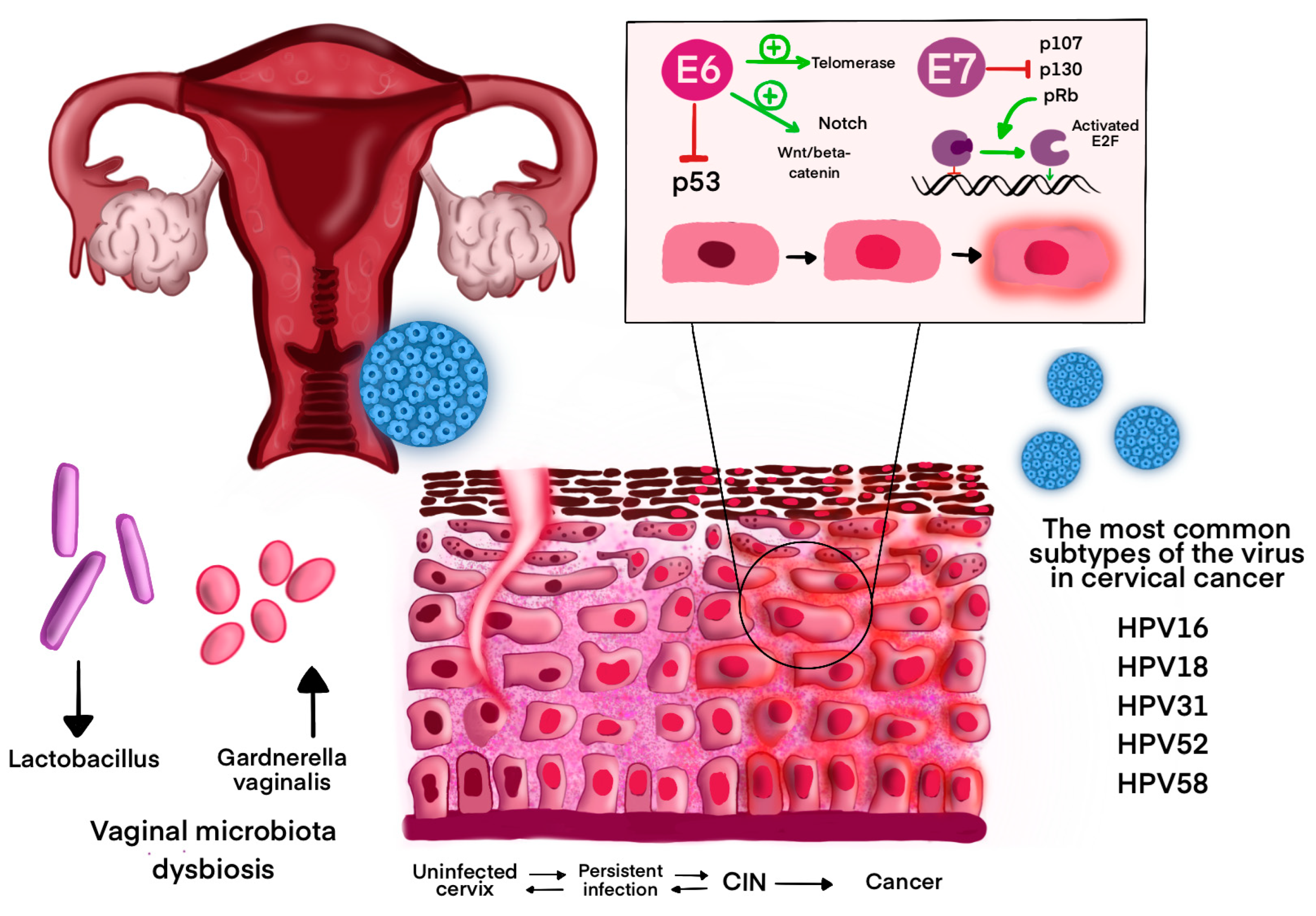 Curroncol 32 00122 g002