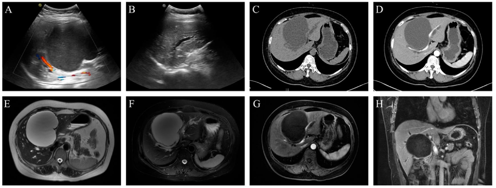 Curroncol 32 00126 g001