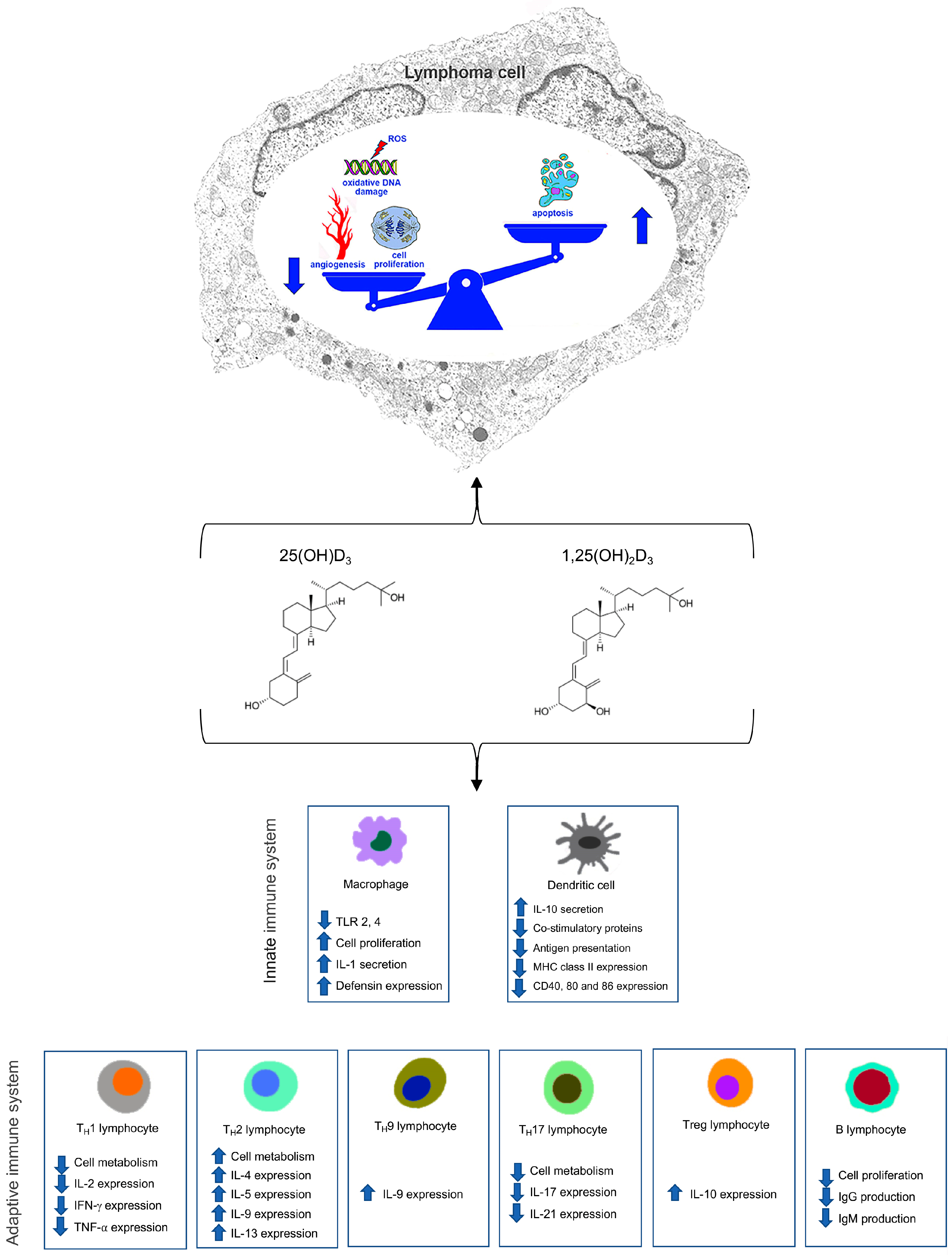 Curroncol 32 00135 g002