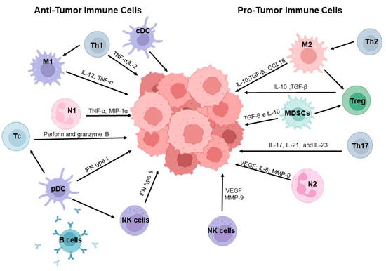 Breast Cancer and Tumor Microenvironment: The Crucial Role