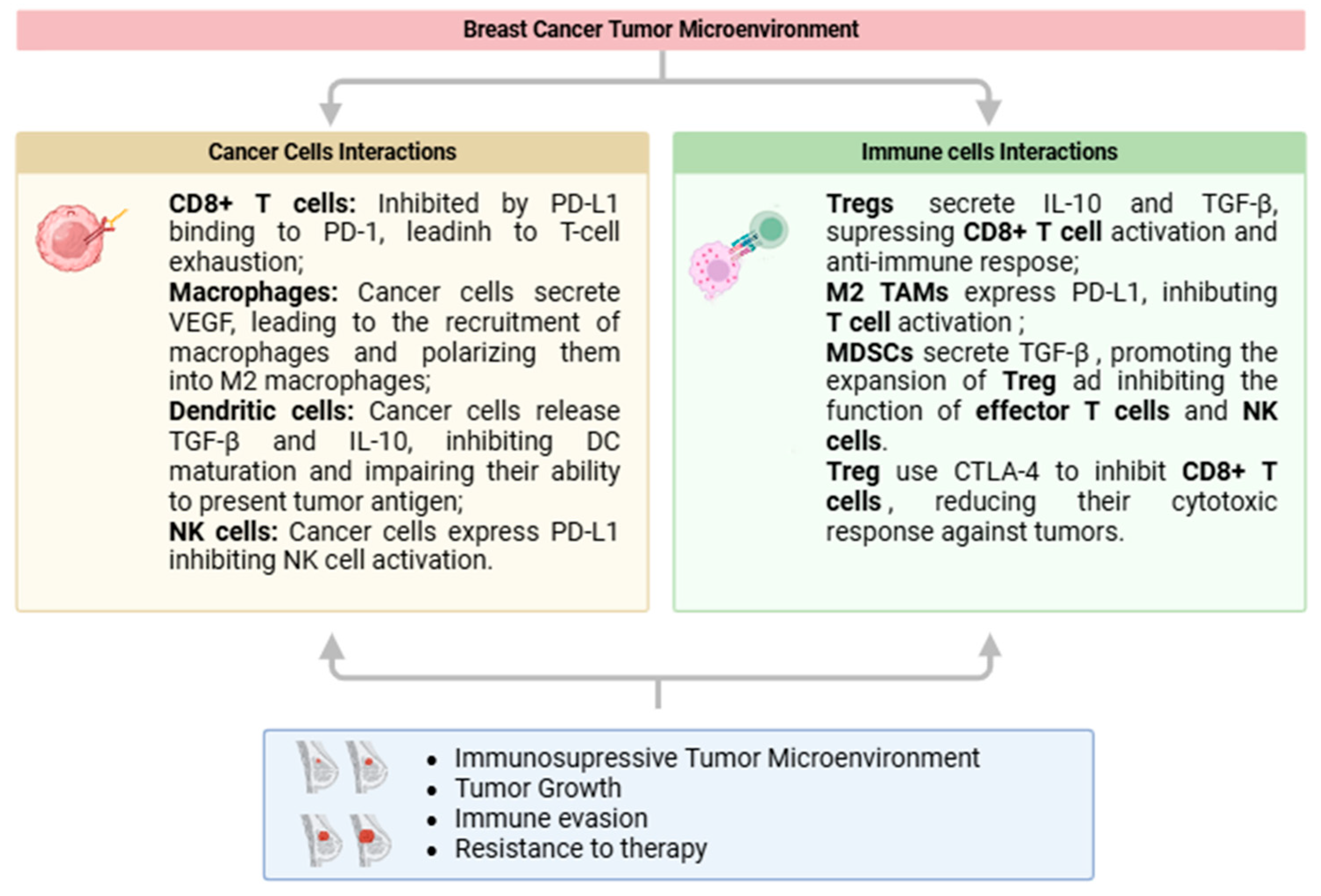 Curroncol 32 00143 g002