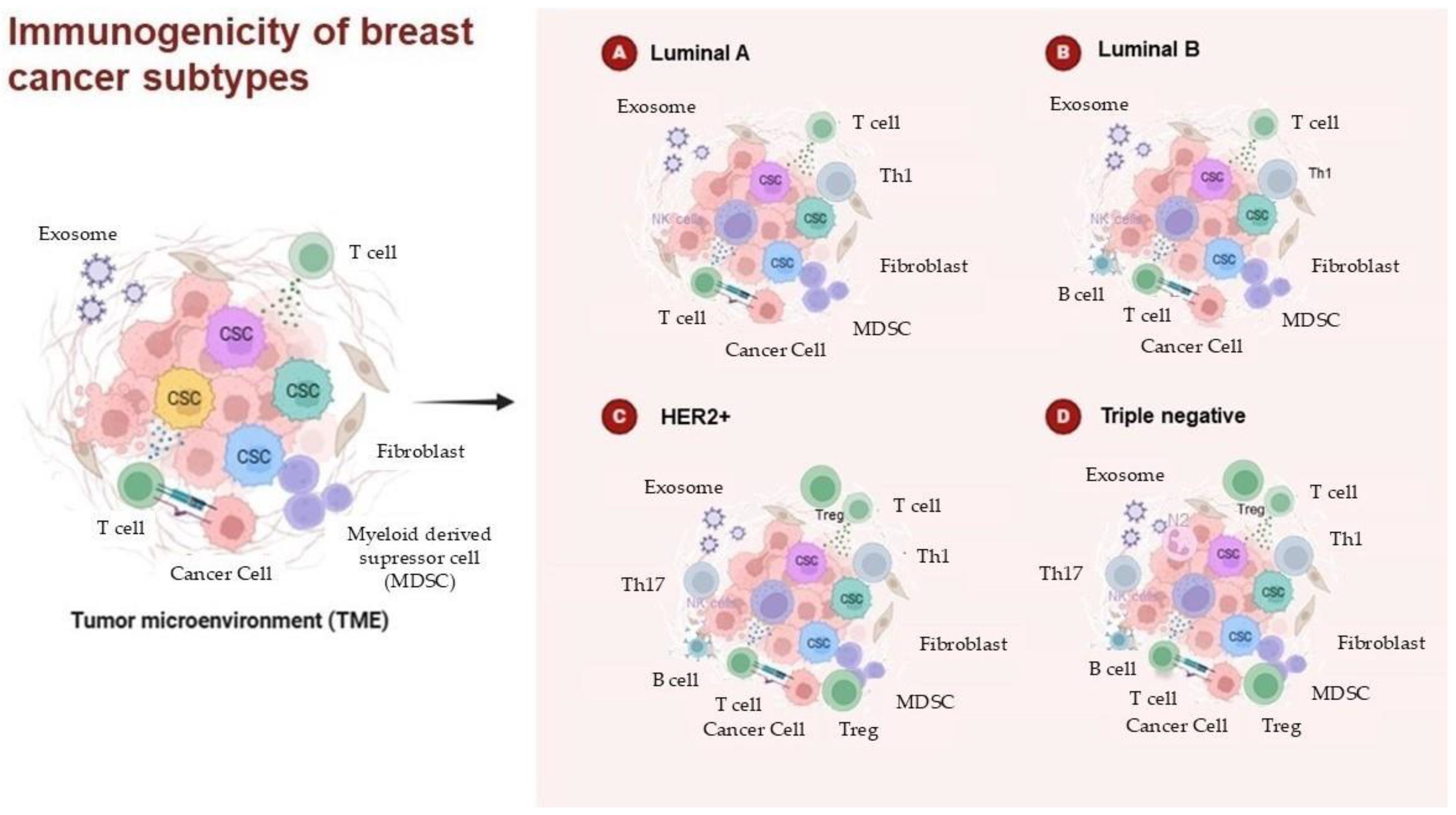 Curroncol 32 00143 g003