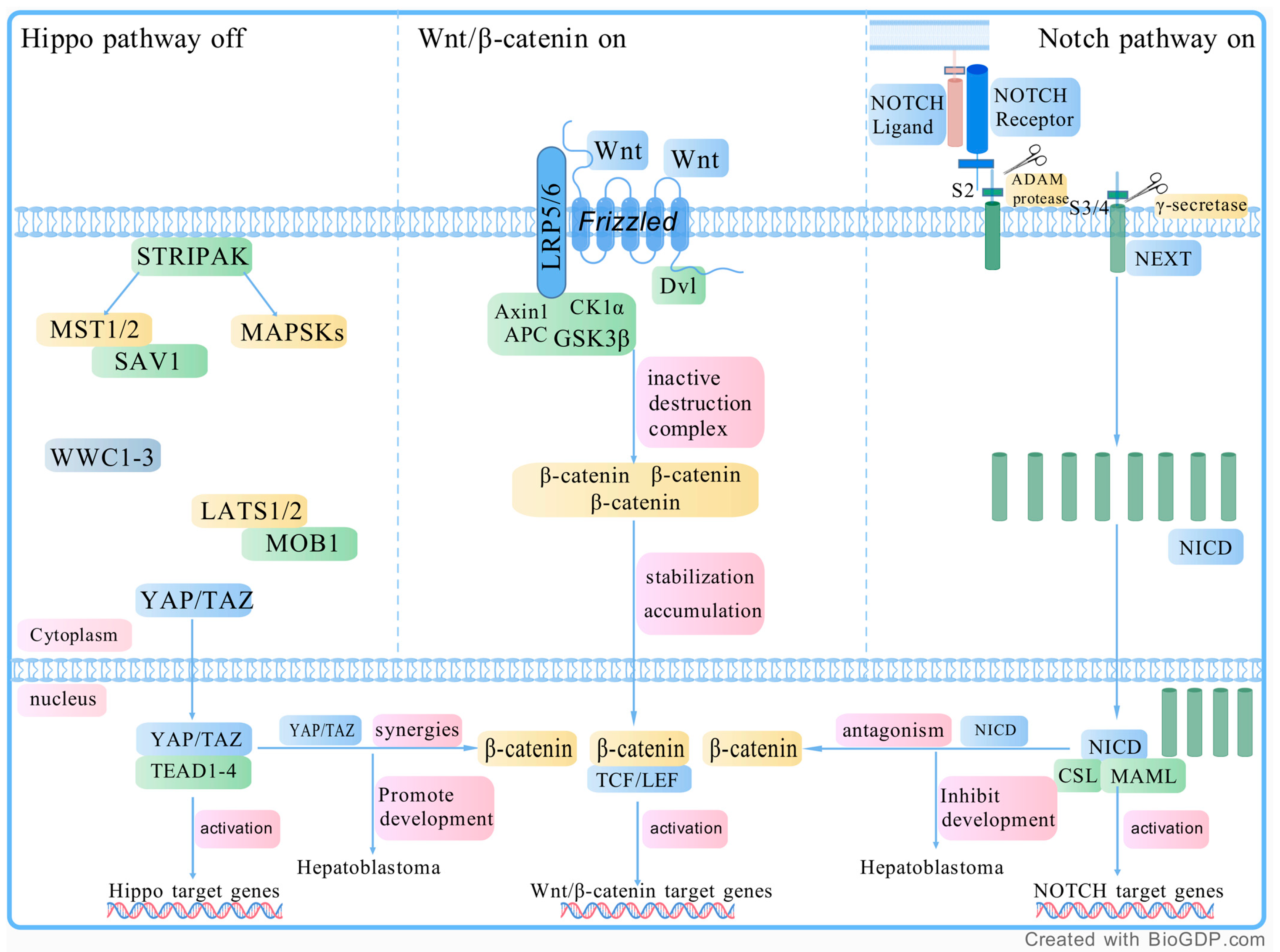 Curroncol 32 00149 g001 Curroncol 32 00149 g001