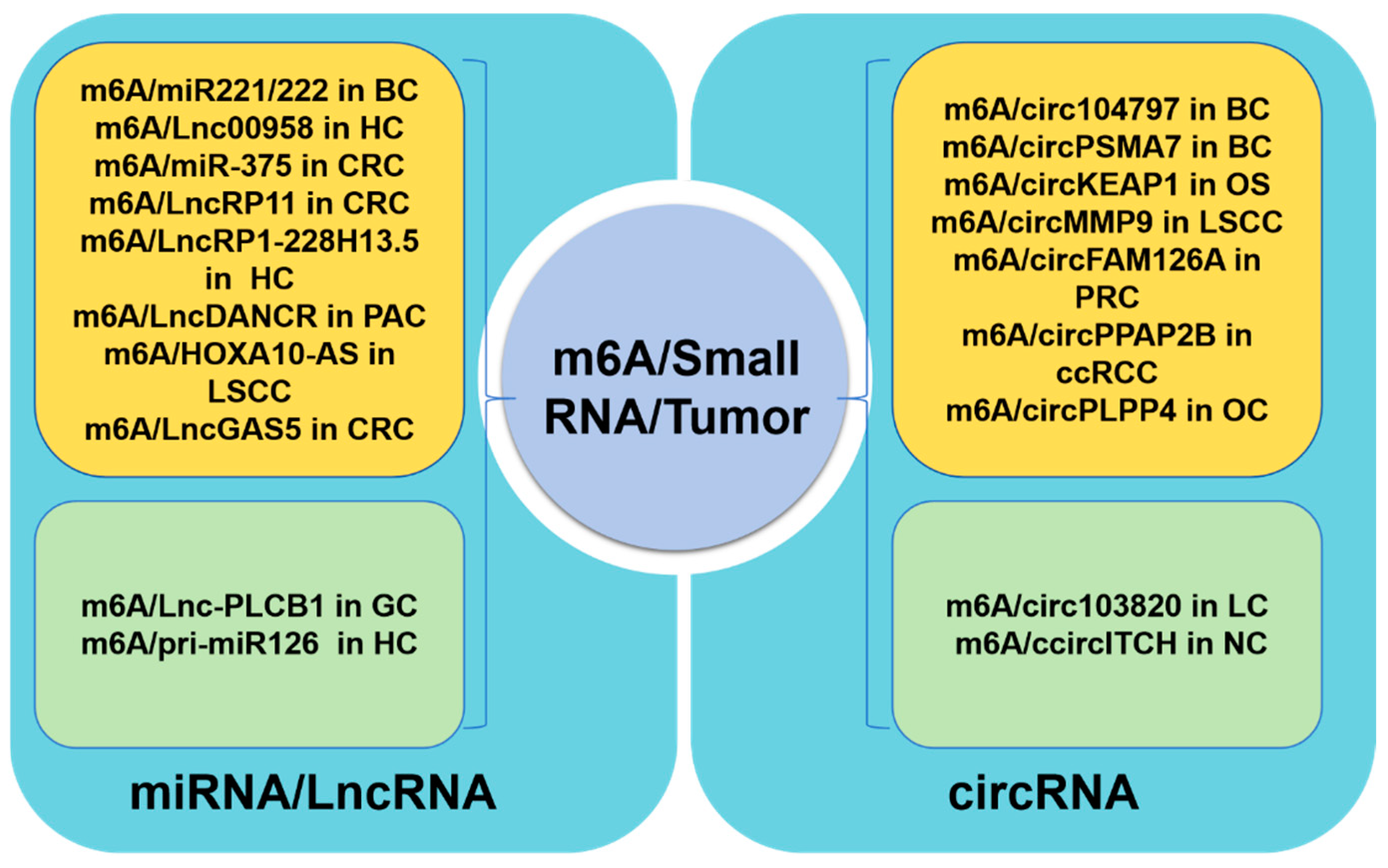 Curroncol 32 00159 g003