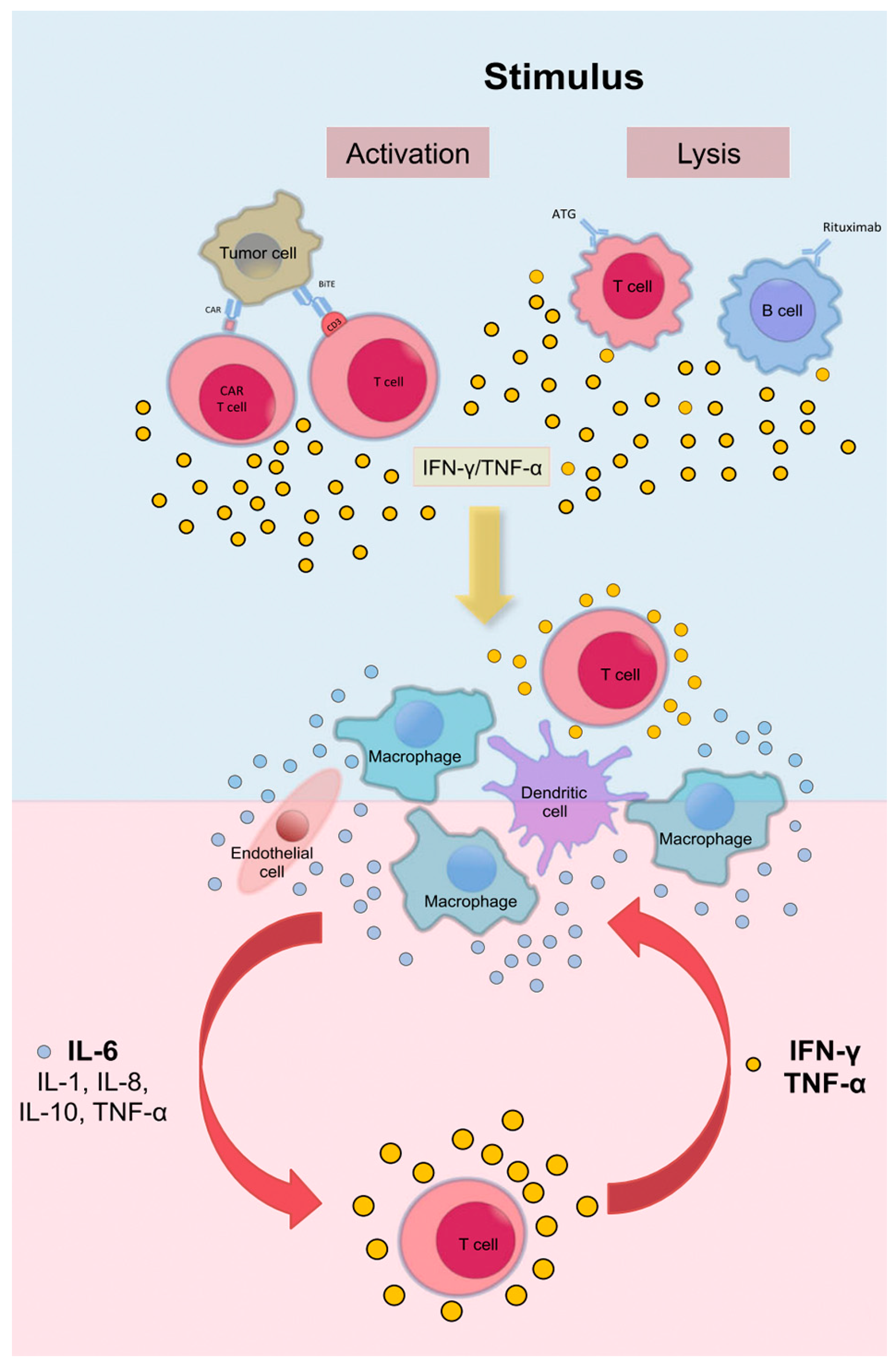 Curroncol 32 00198 g002 Curroncol 32 00198 g002