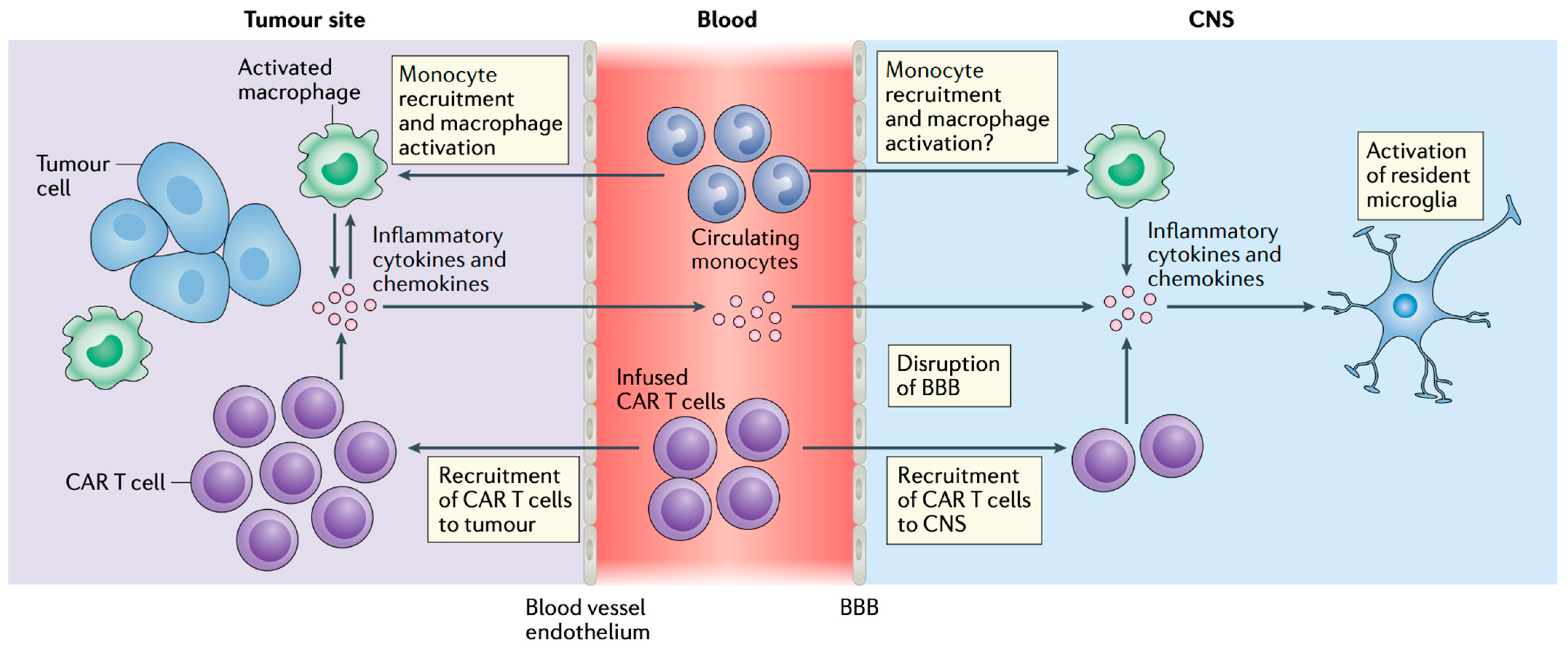 Curroncol 32 00198 g003 Curroncol 32 00198 g003
