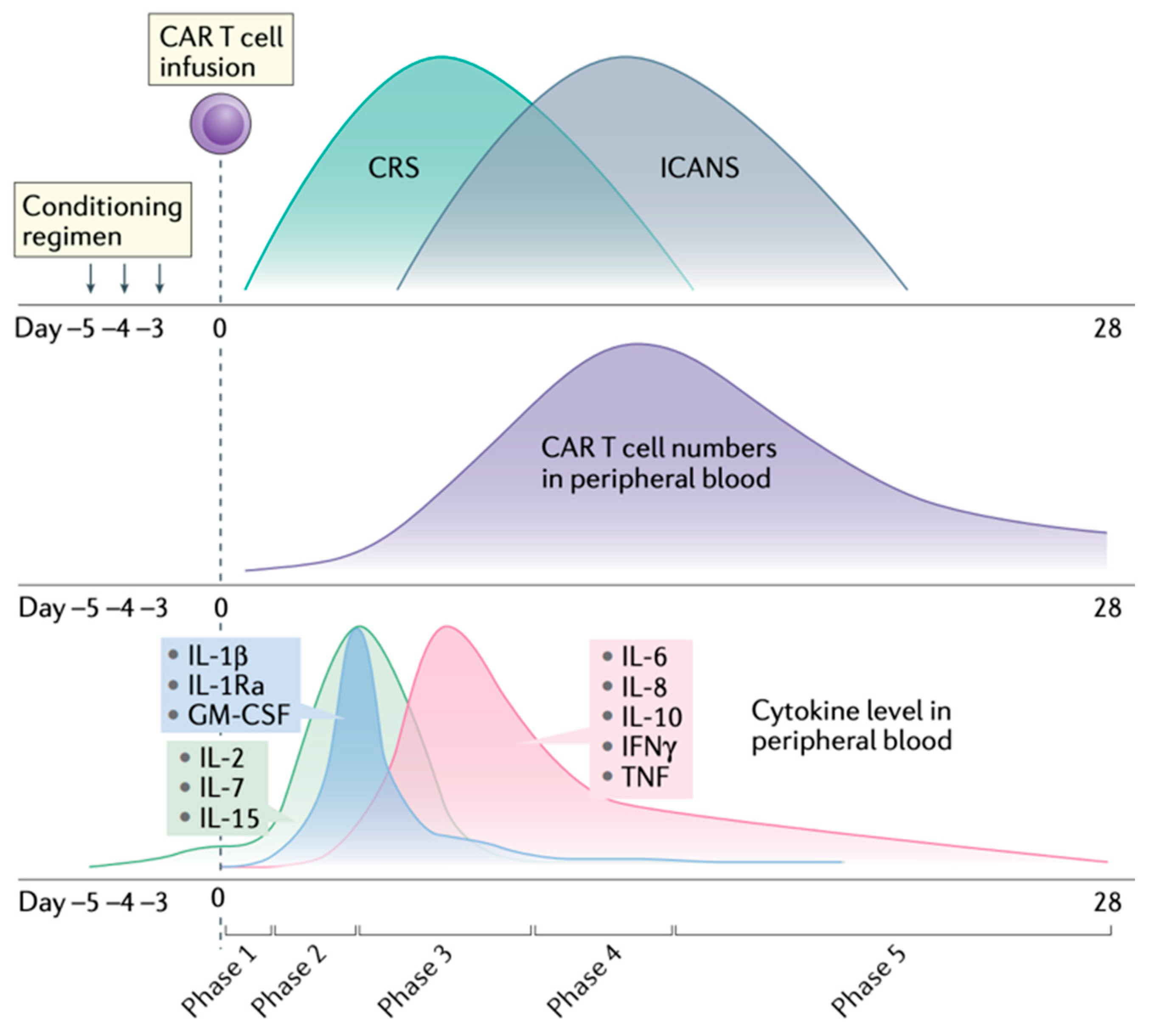 Curroncol 32 00198 g004 Curroncol 32 00198 g004