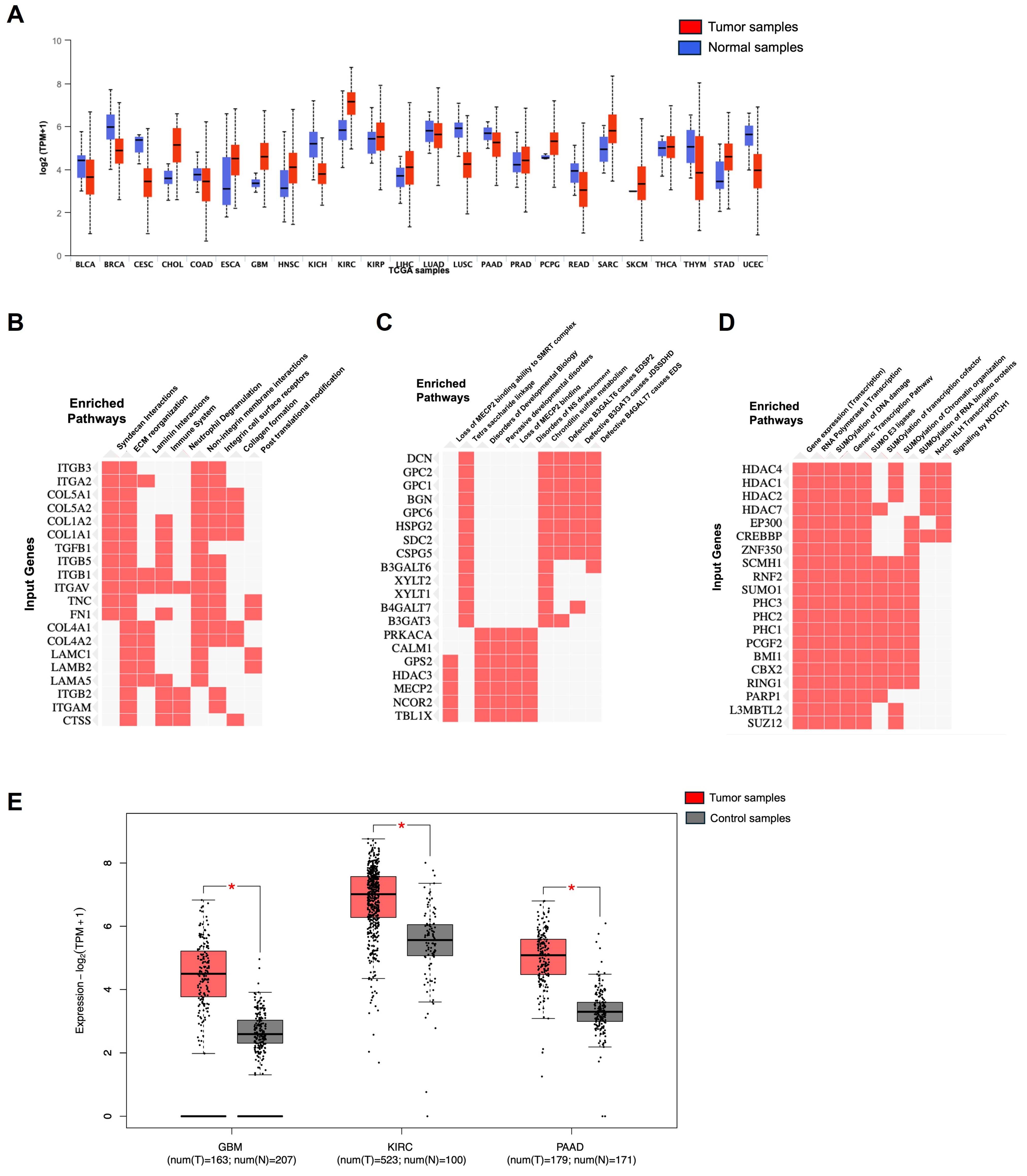 Curroncol 32 00203 g010 Curroncol 32 00203 g010