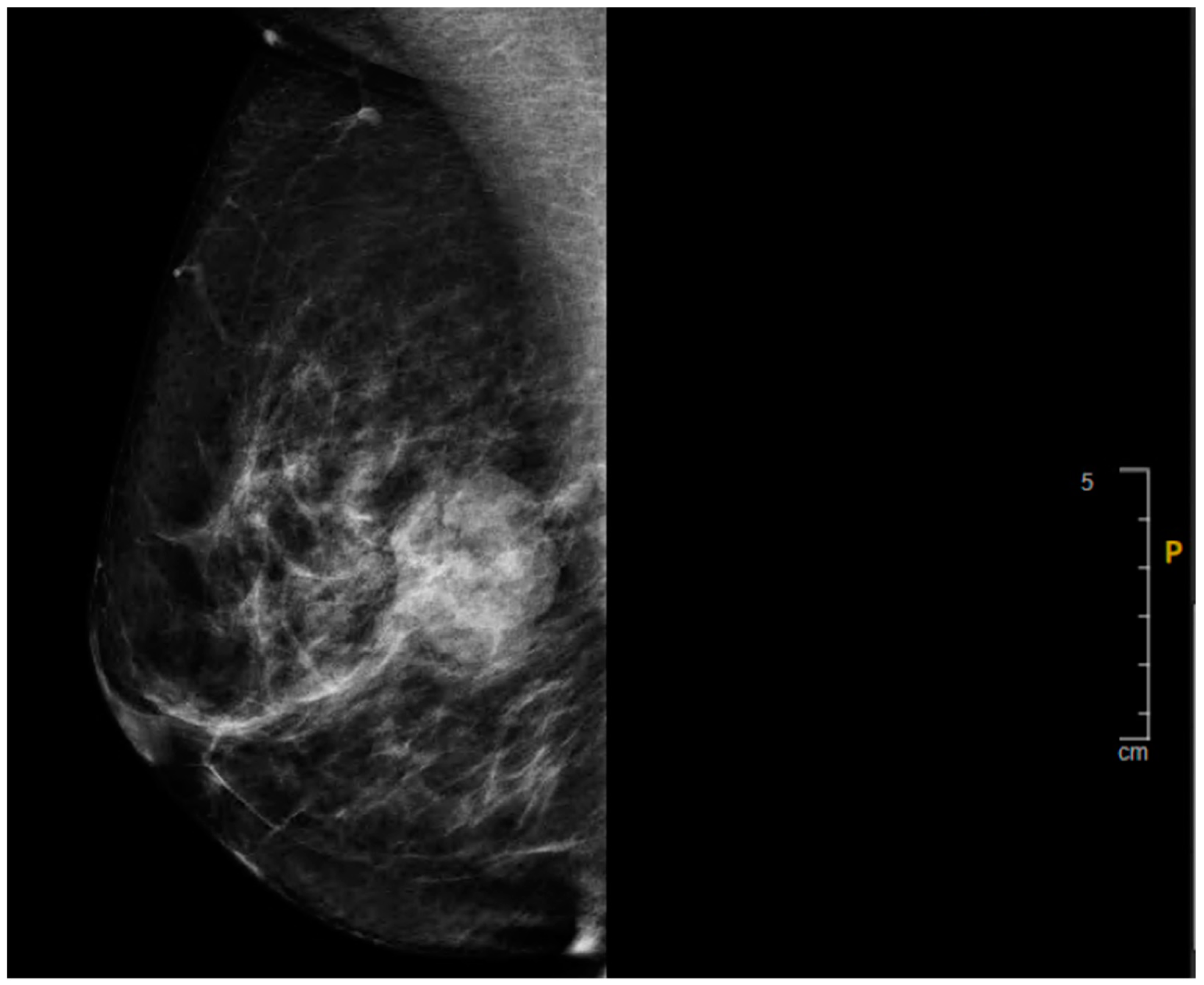 Curroncol 32 00205 sch002 Curroncol 32 00205 sch002