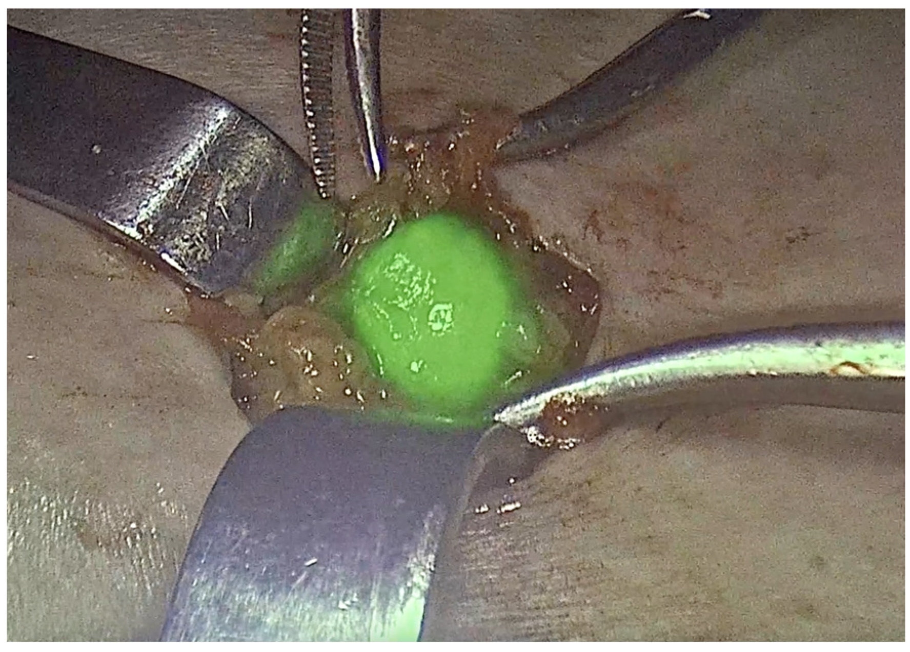 Curroncol 32 00215 g001