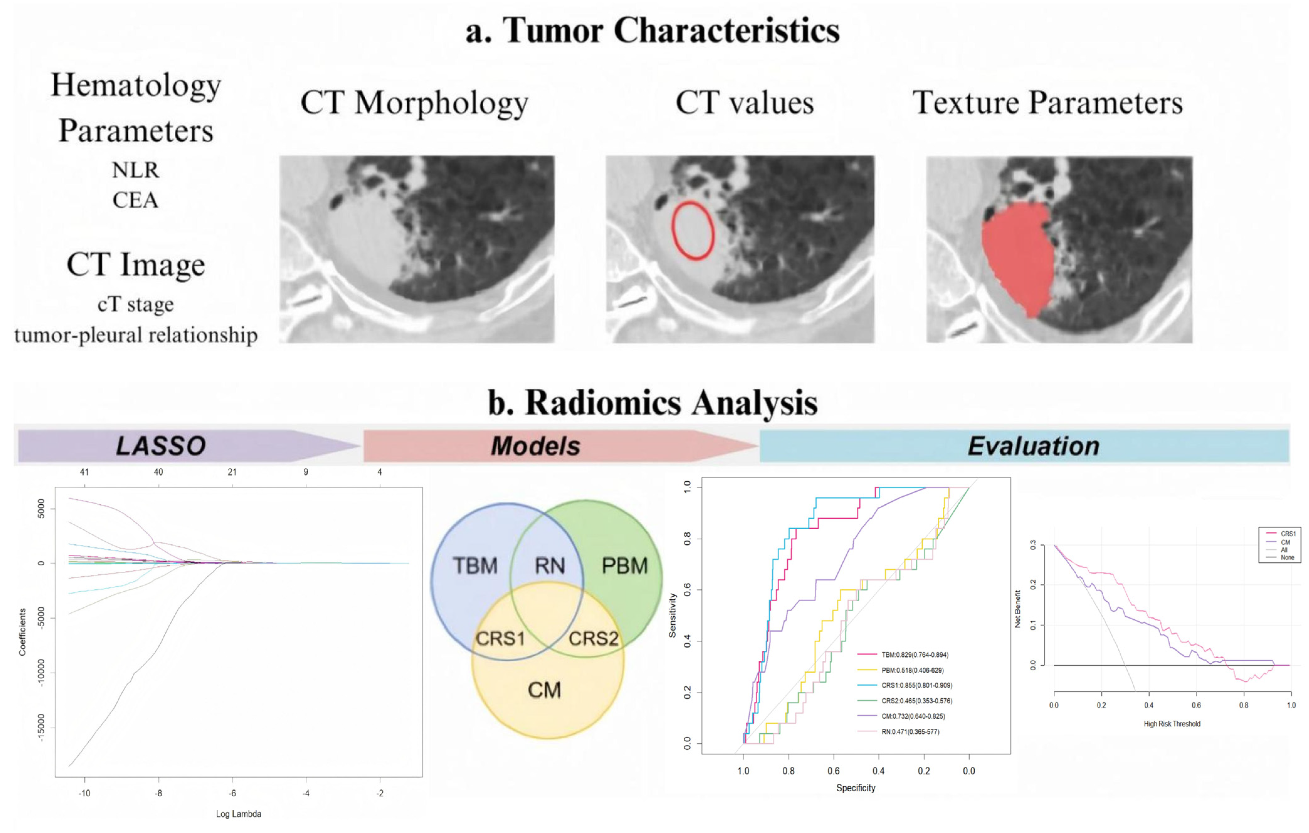 Curroncol 32 00223 g001 Curroncol 32 00223 g001