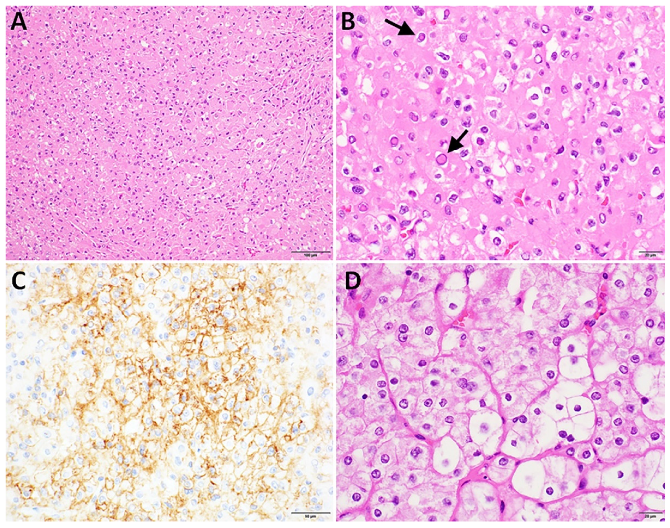 Curroncol 32 00224 g001 Curroncol 32 00224 g001