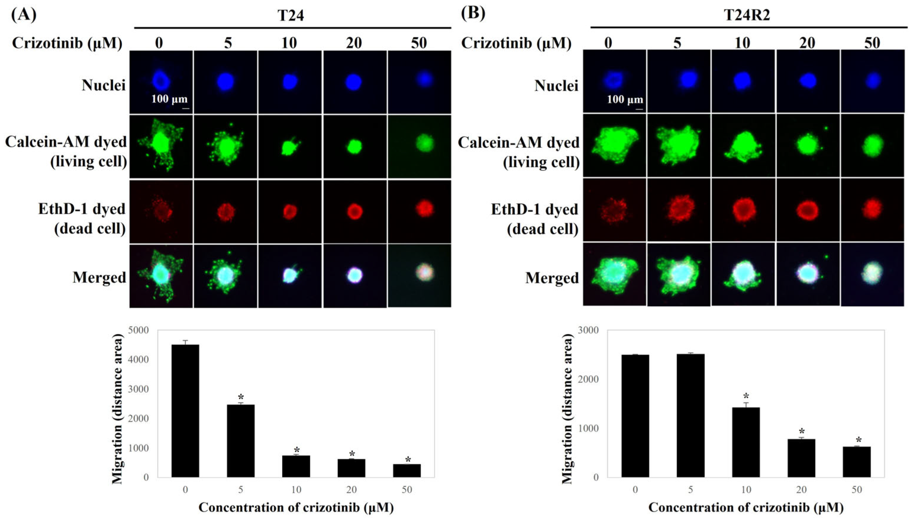 Curroncol 32 00236 g003
