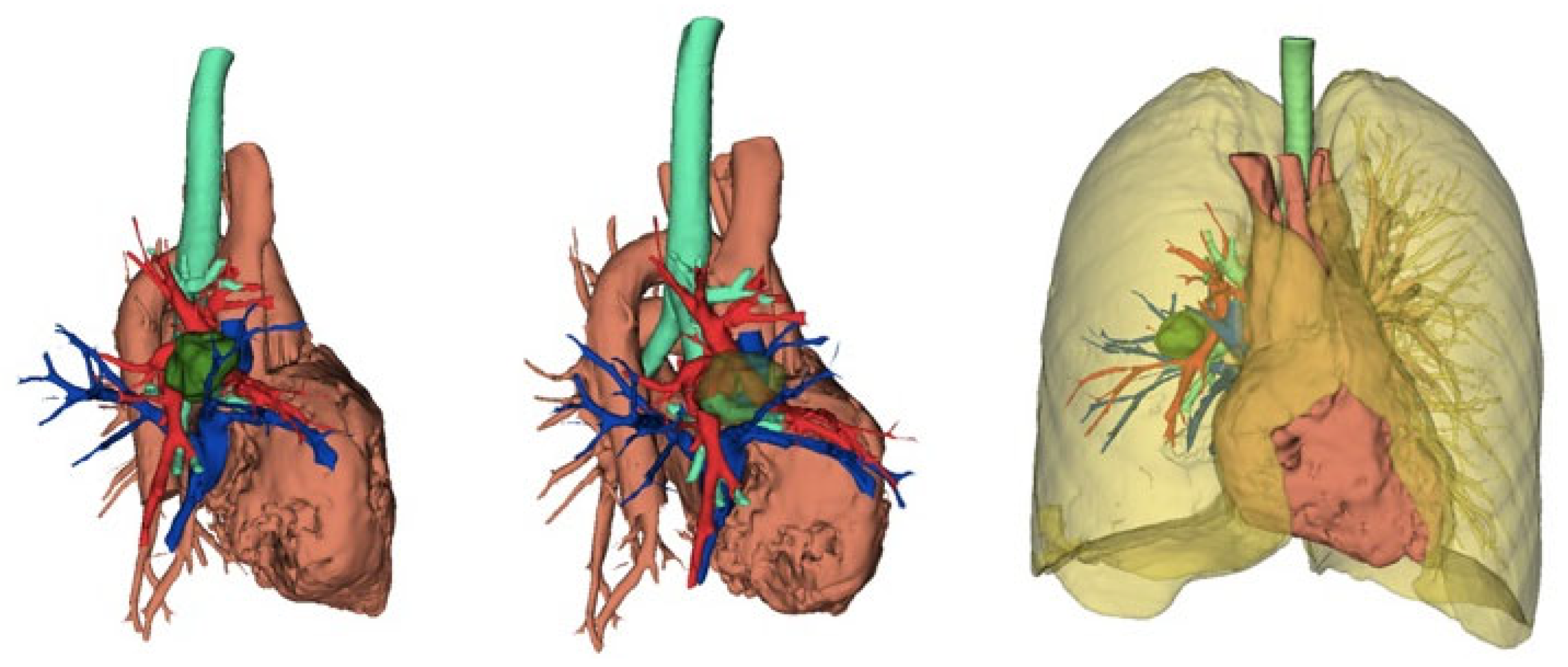 Curroncol 32 00244 g002