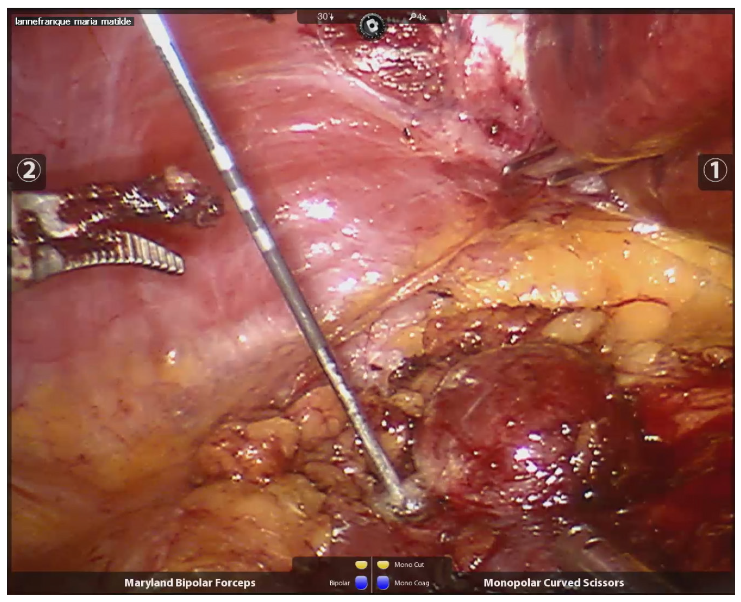 Curroncol 32 00246 g002