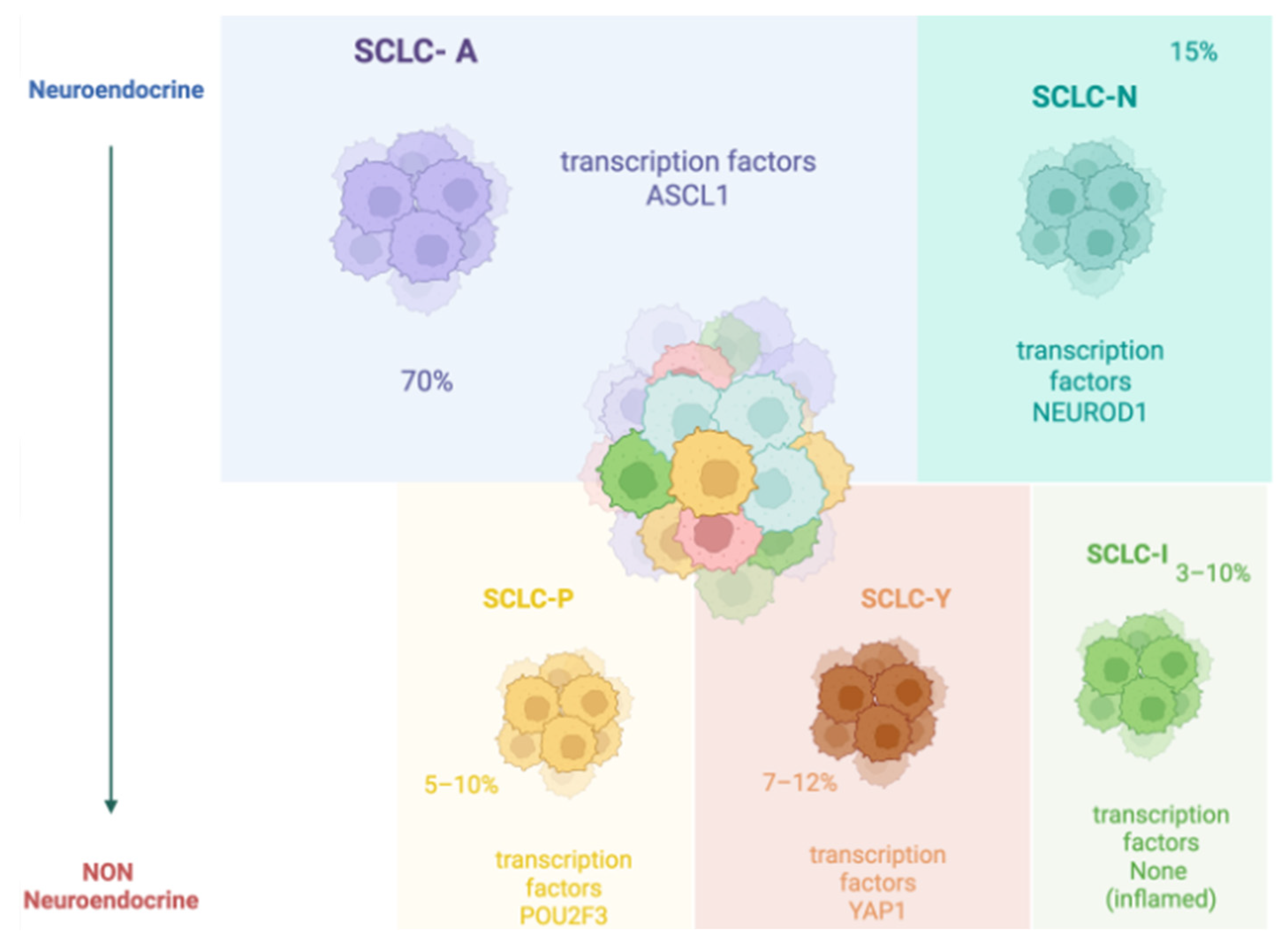 Curroncol 32 00261 g001