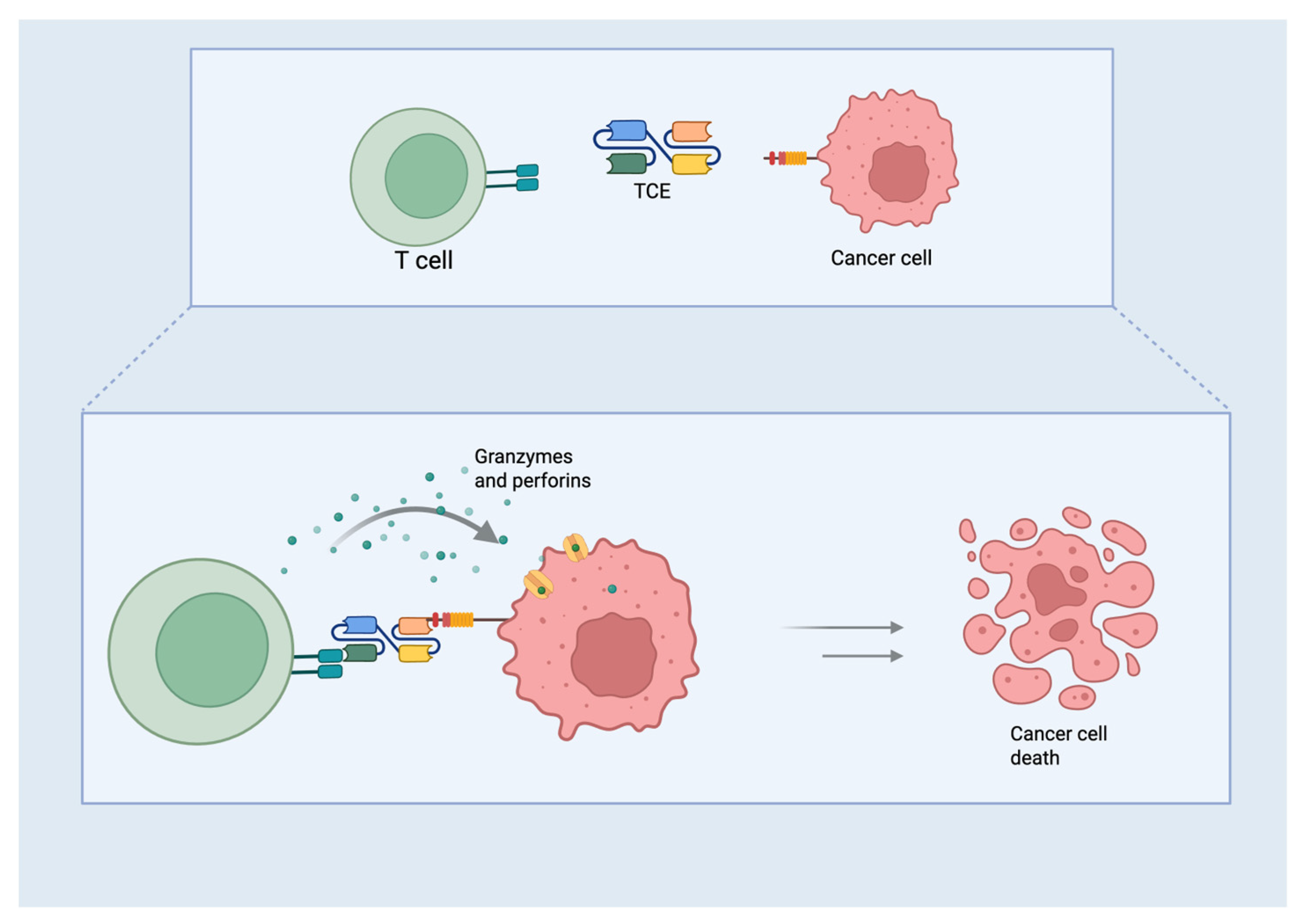 Curroncol 32 00261 g002