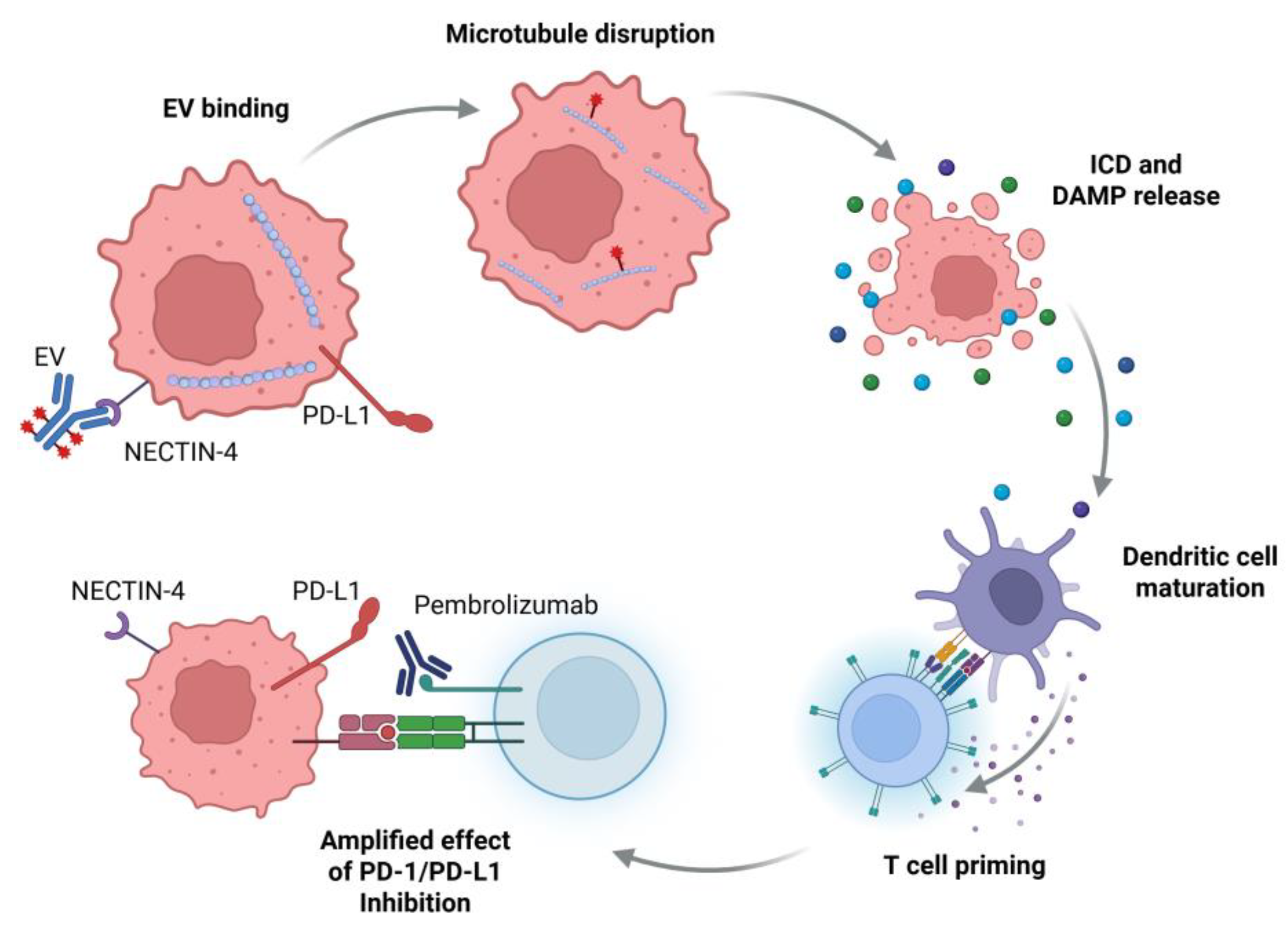 Curroncol 32 00278 g001
