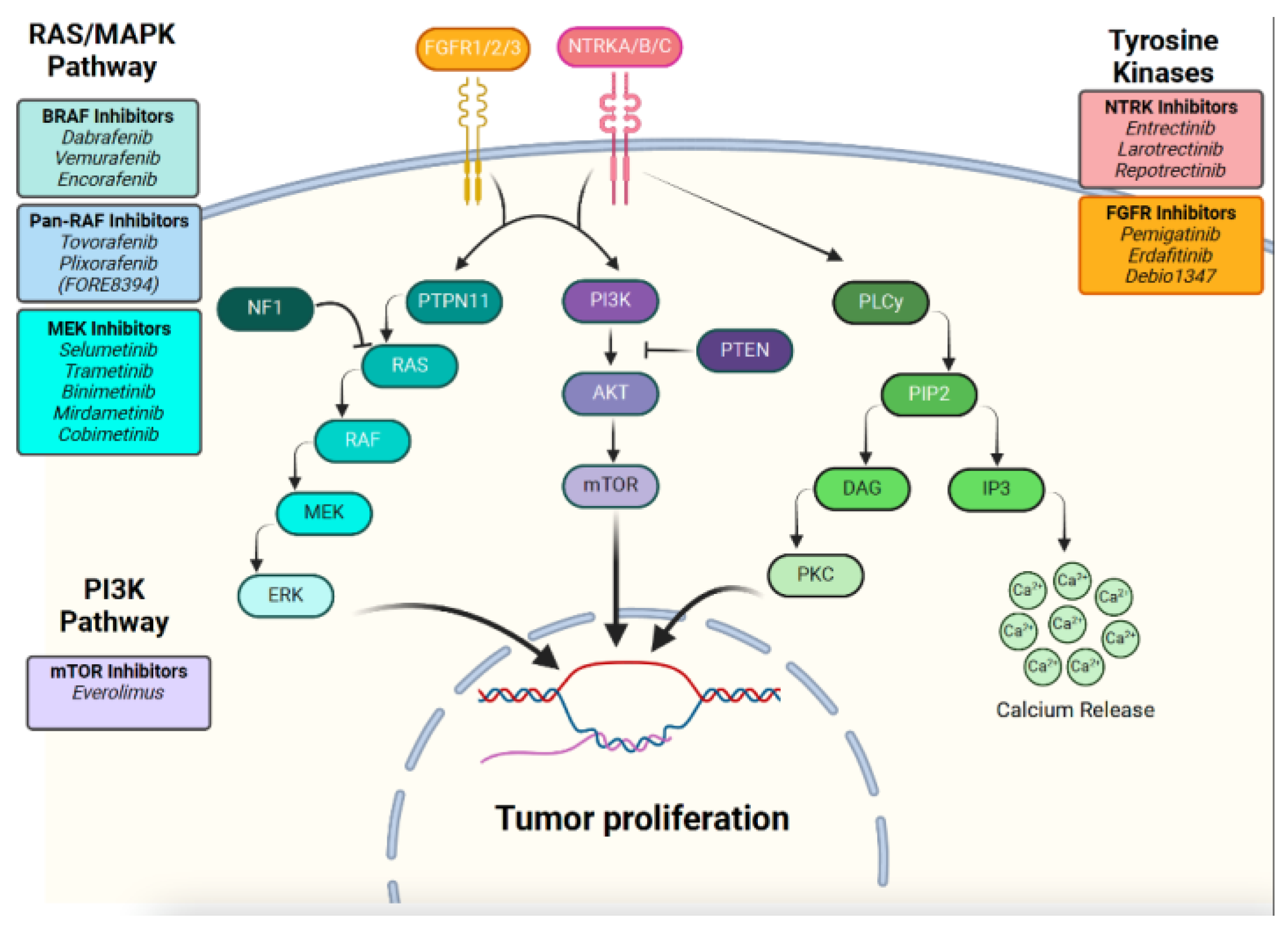 Curroncol 32 00280 g001