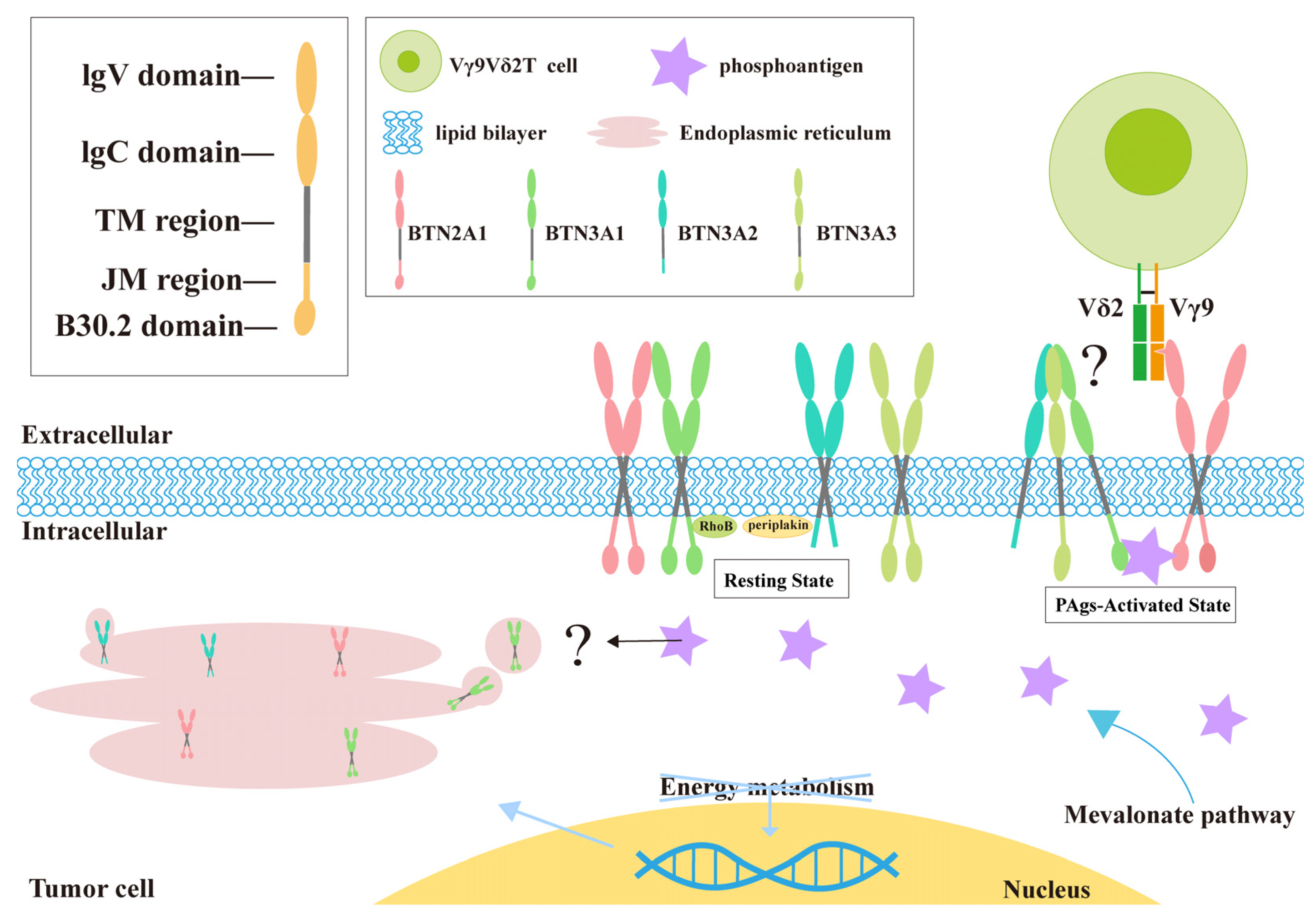 Curroncol 32 00329 g002