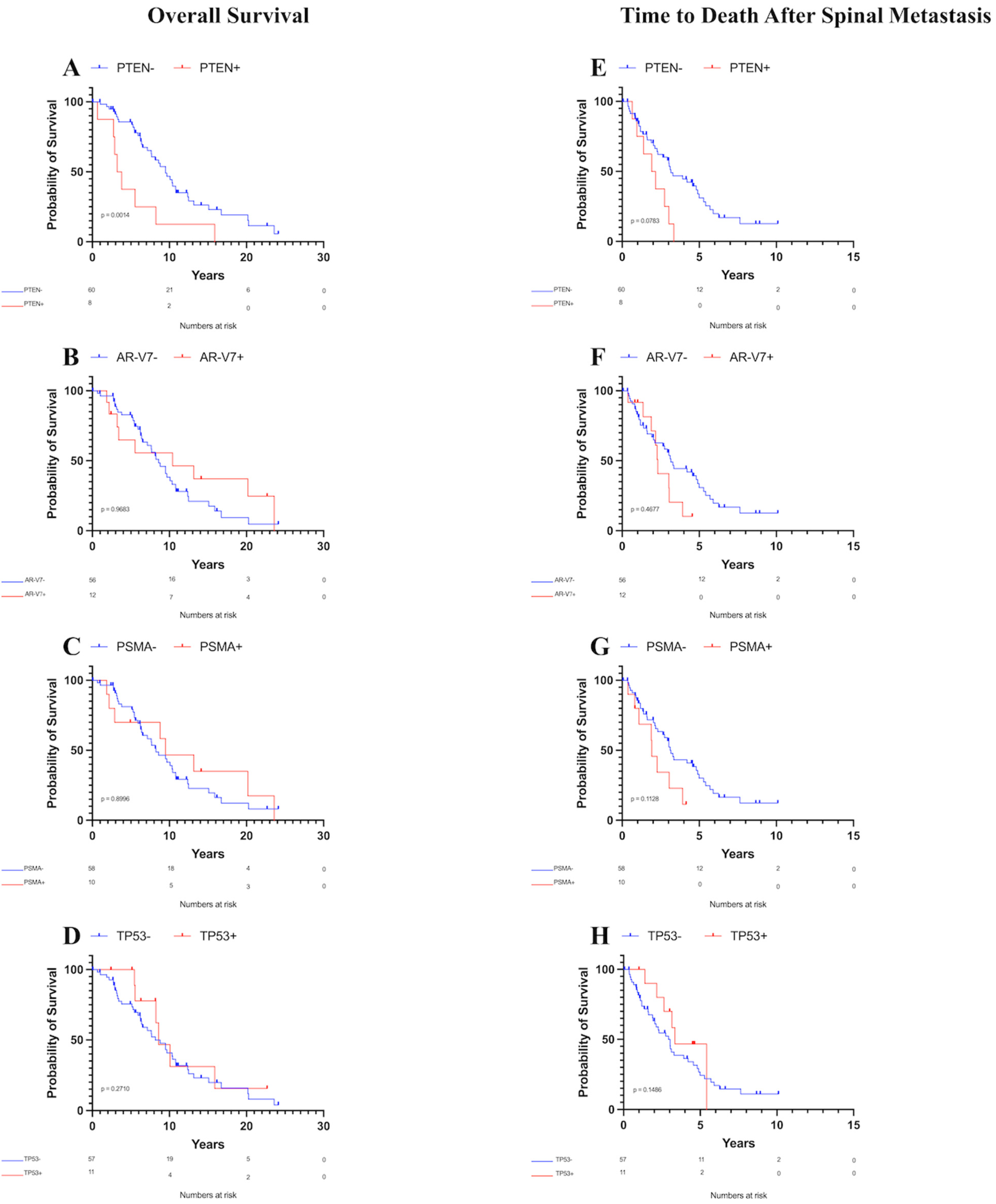 Curroncol 32 00331 g002