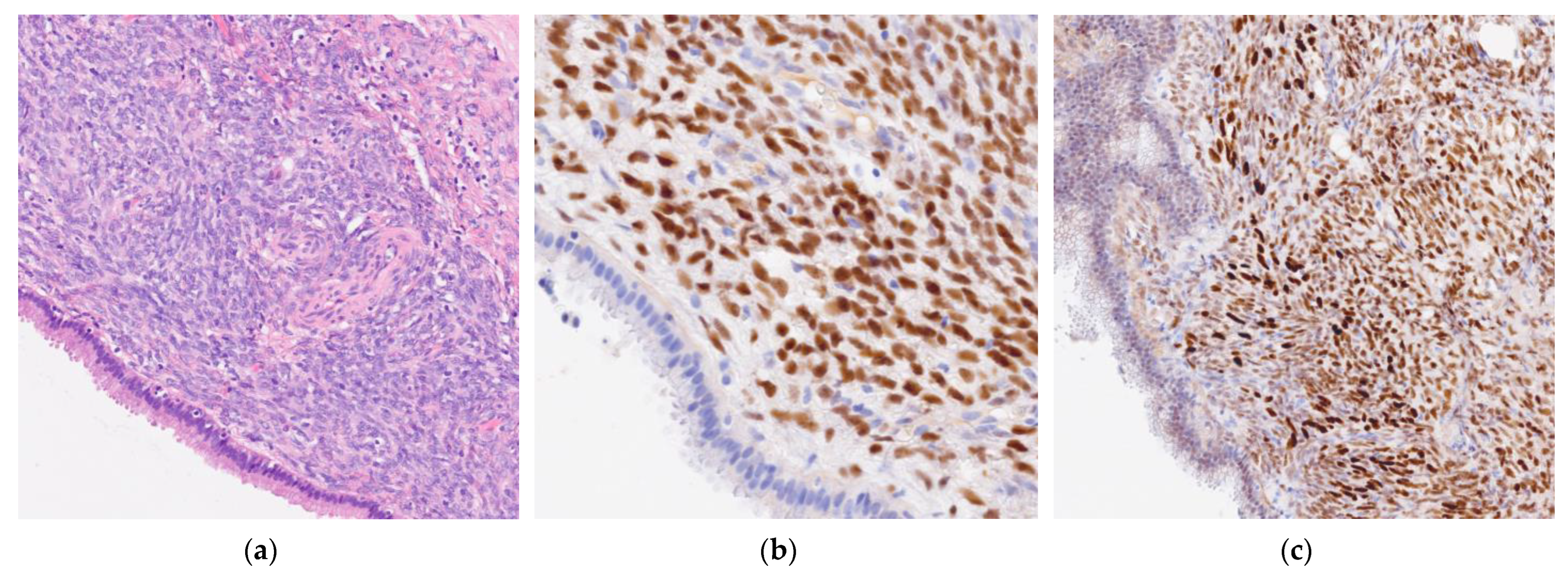 Curroncol 32 00352 g004