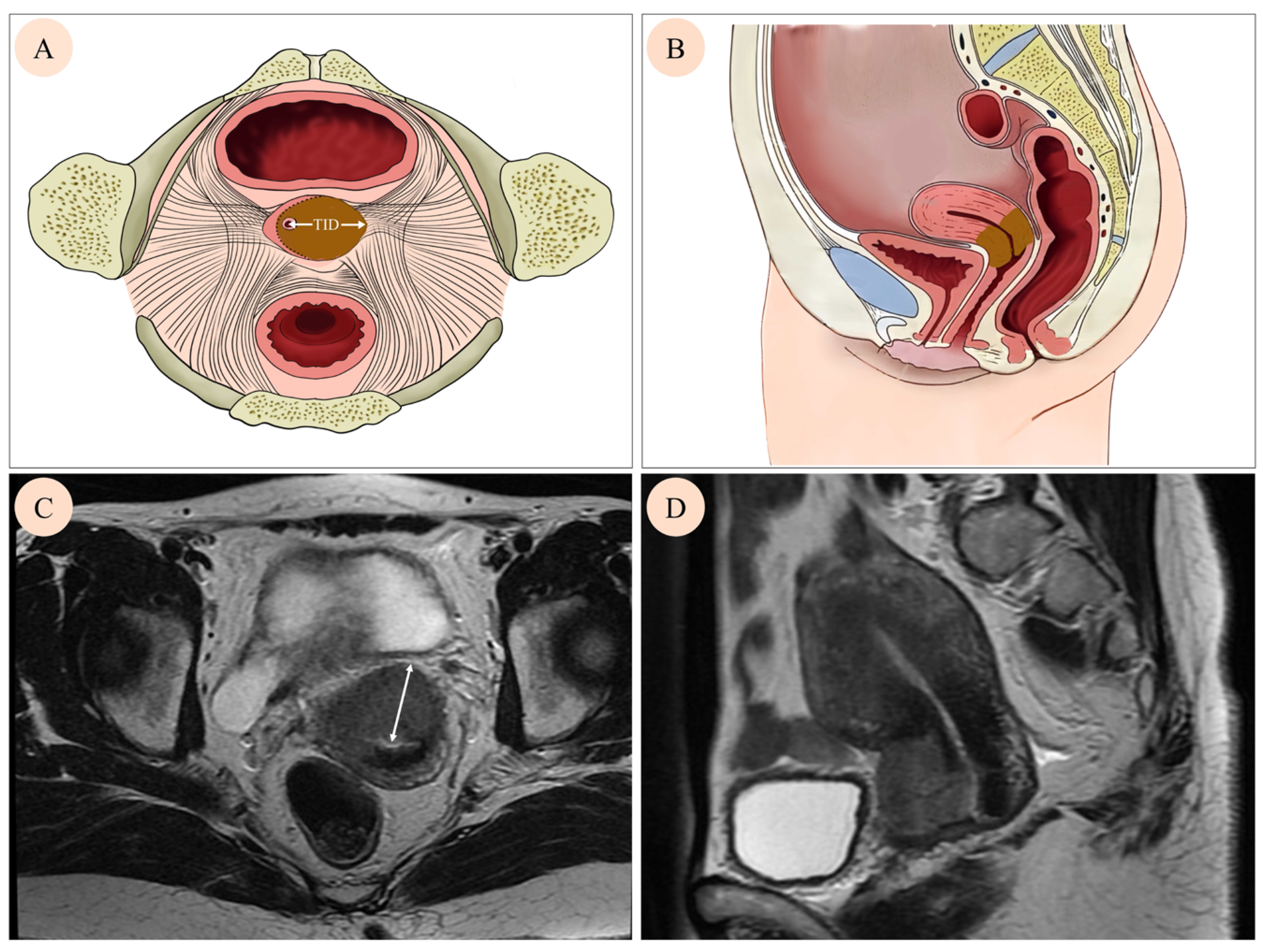 Curroncol 32 00355 g001