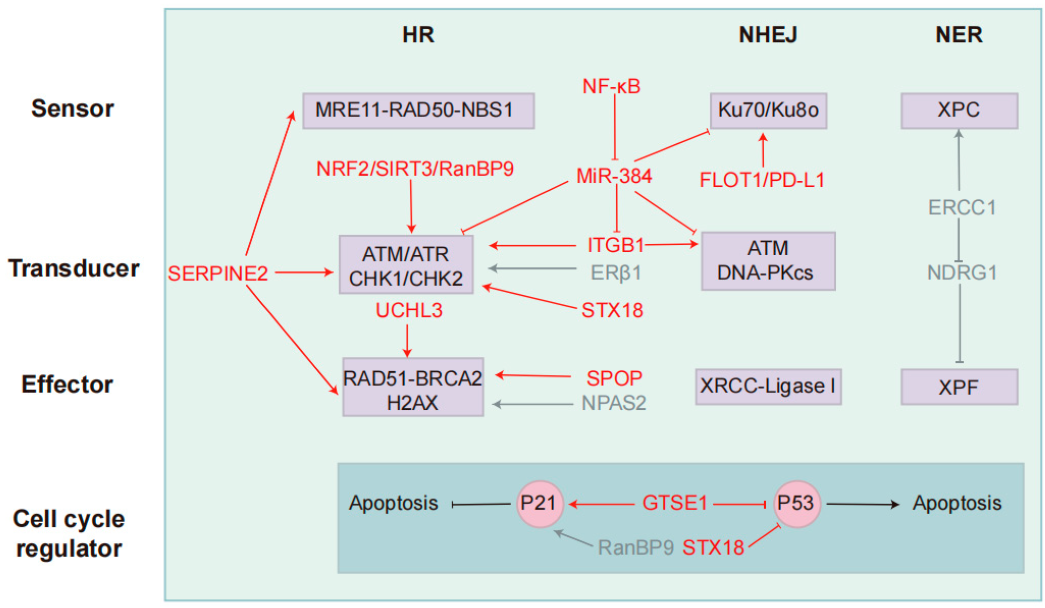 Curroncol 32 00367 g002