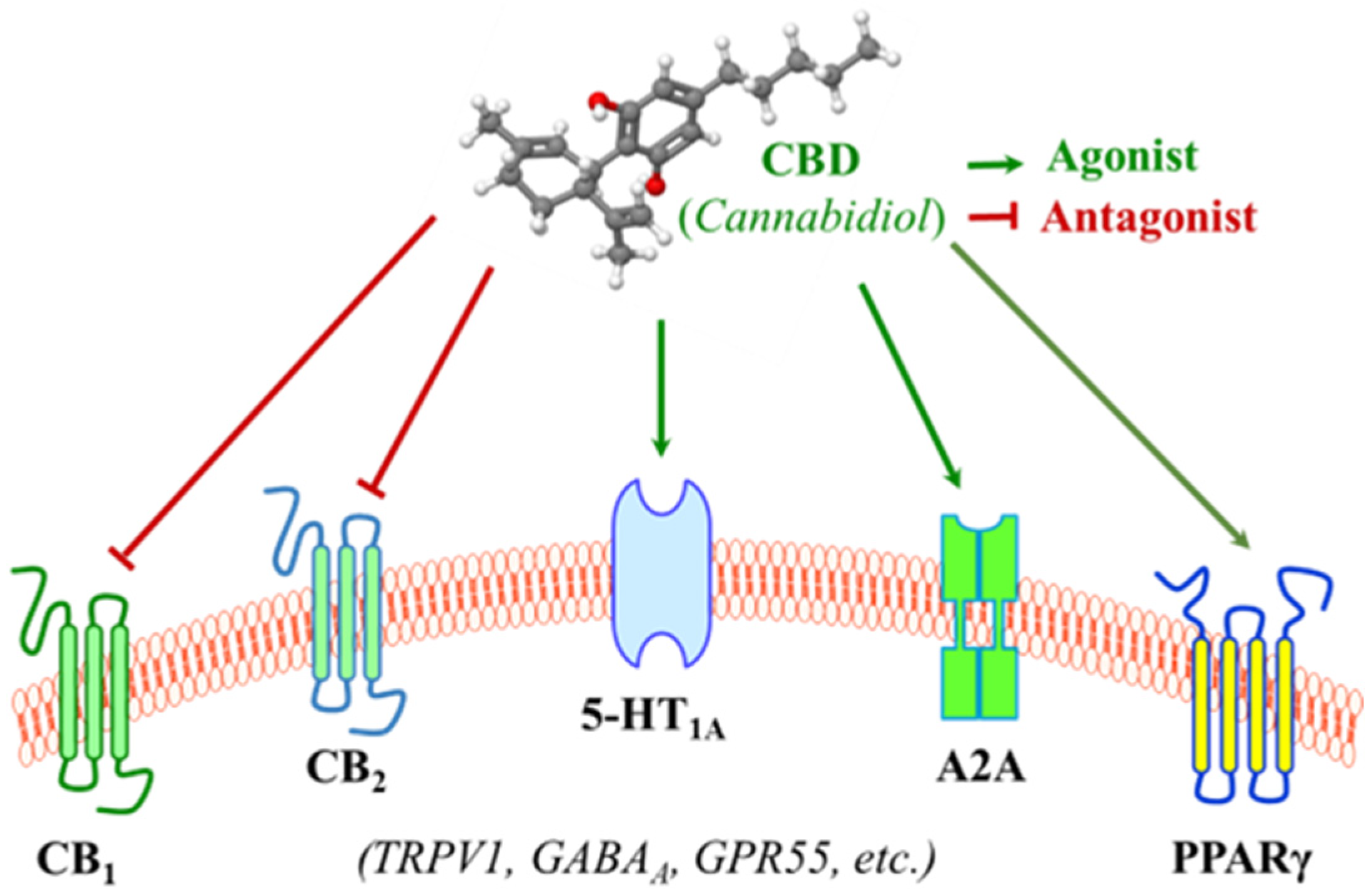 Curroncol 32 00375 g002
