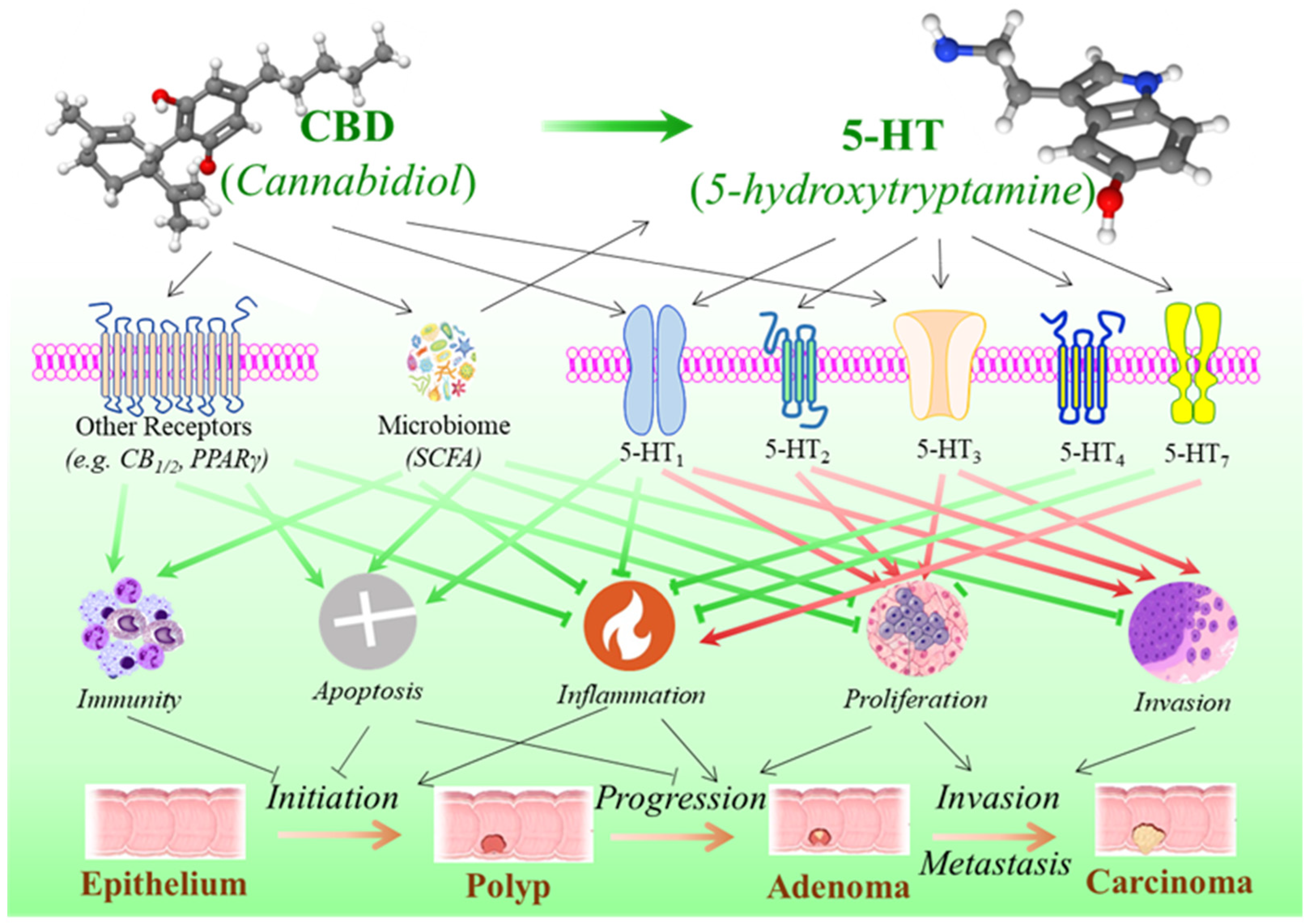 Curroncol 32 00375 g003