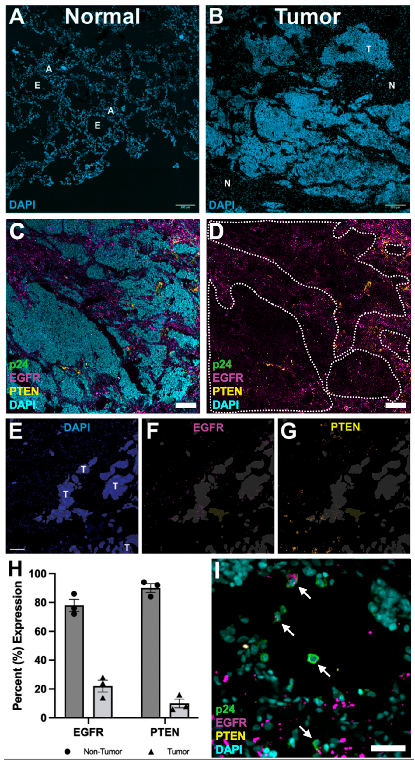 Curroncol 32 00389 g003